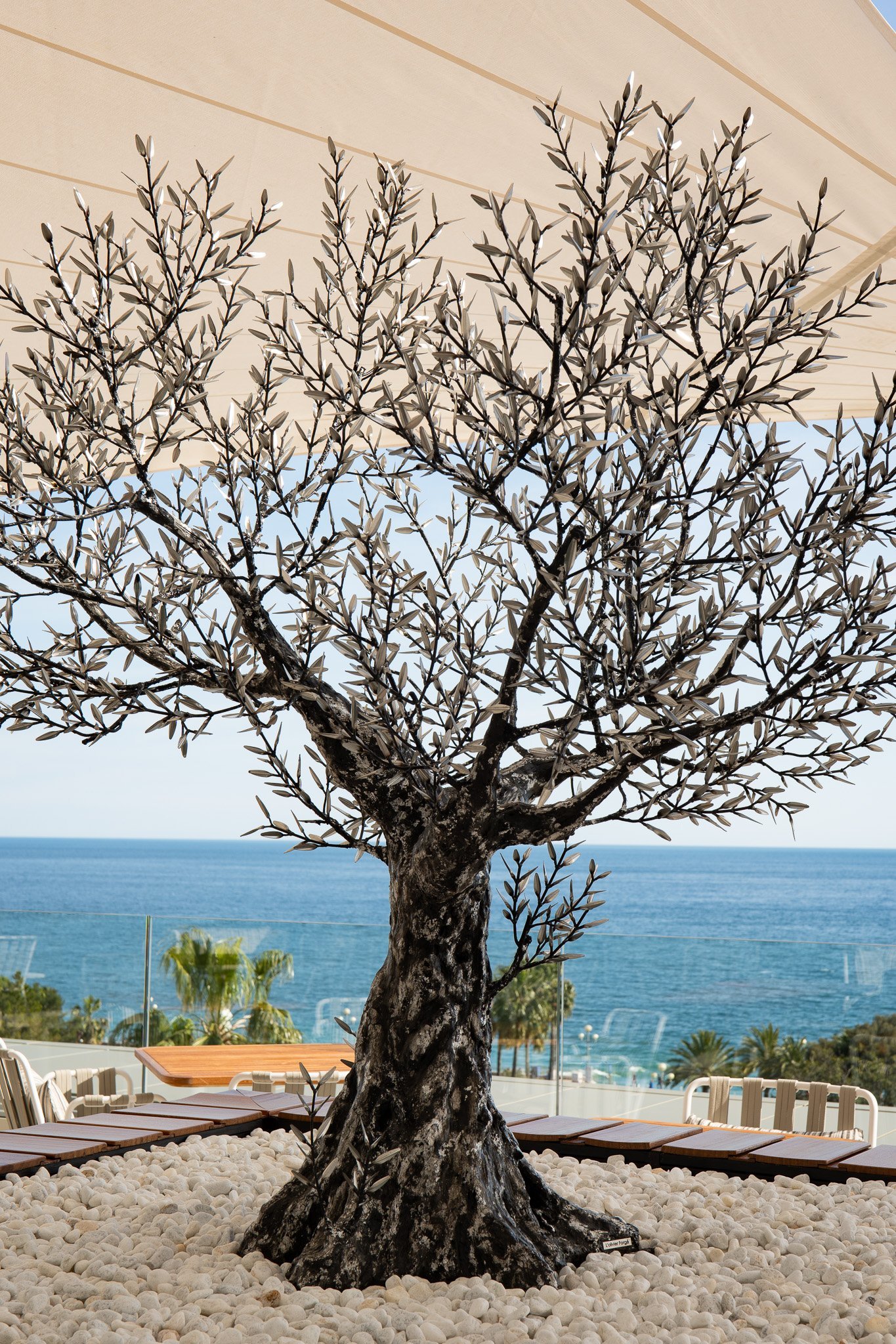 Tree on the rooftop Maison Albar Le Victoria.