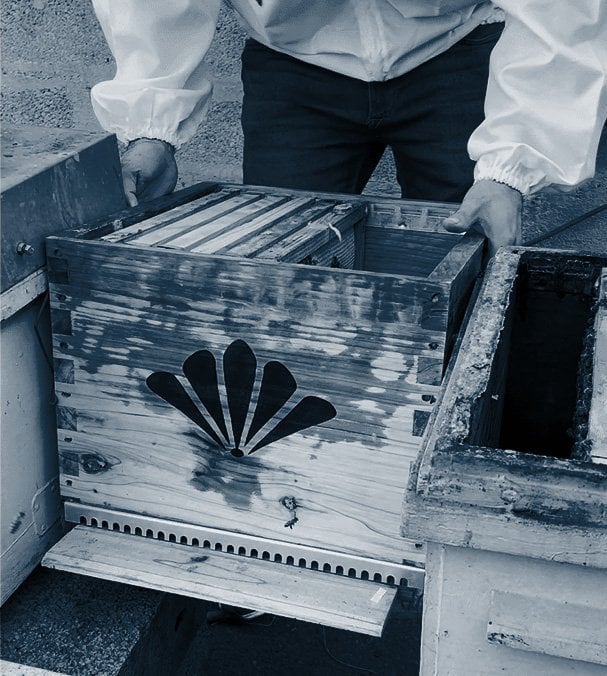 aa7f9e82-ef6f-4024-8600-3a68b1e25c0e