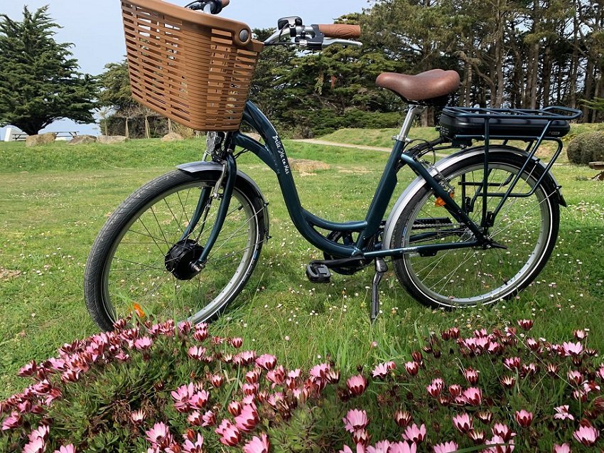 aa99f512-9f75-44ee-8517-0a9d5b3e3b33