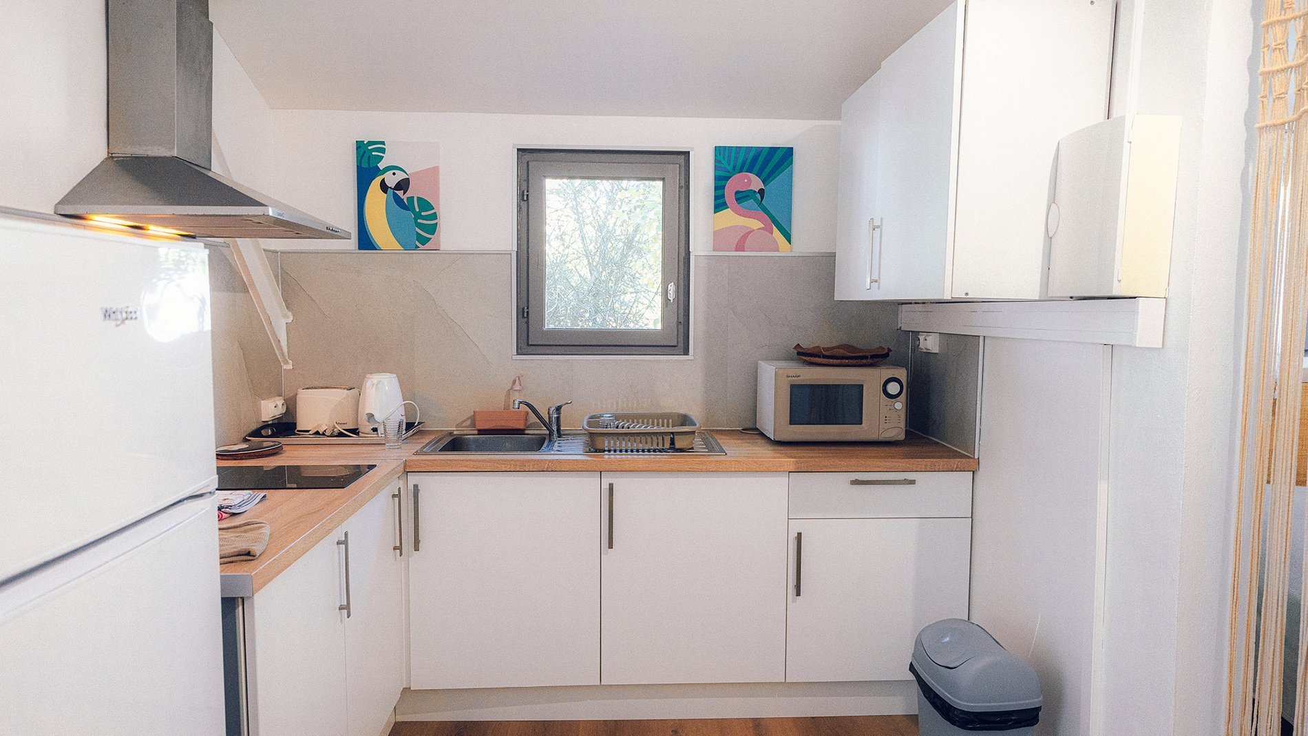 aadd1f88-2eb2-40fc-bc1a-8ff2ee2b2c5c