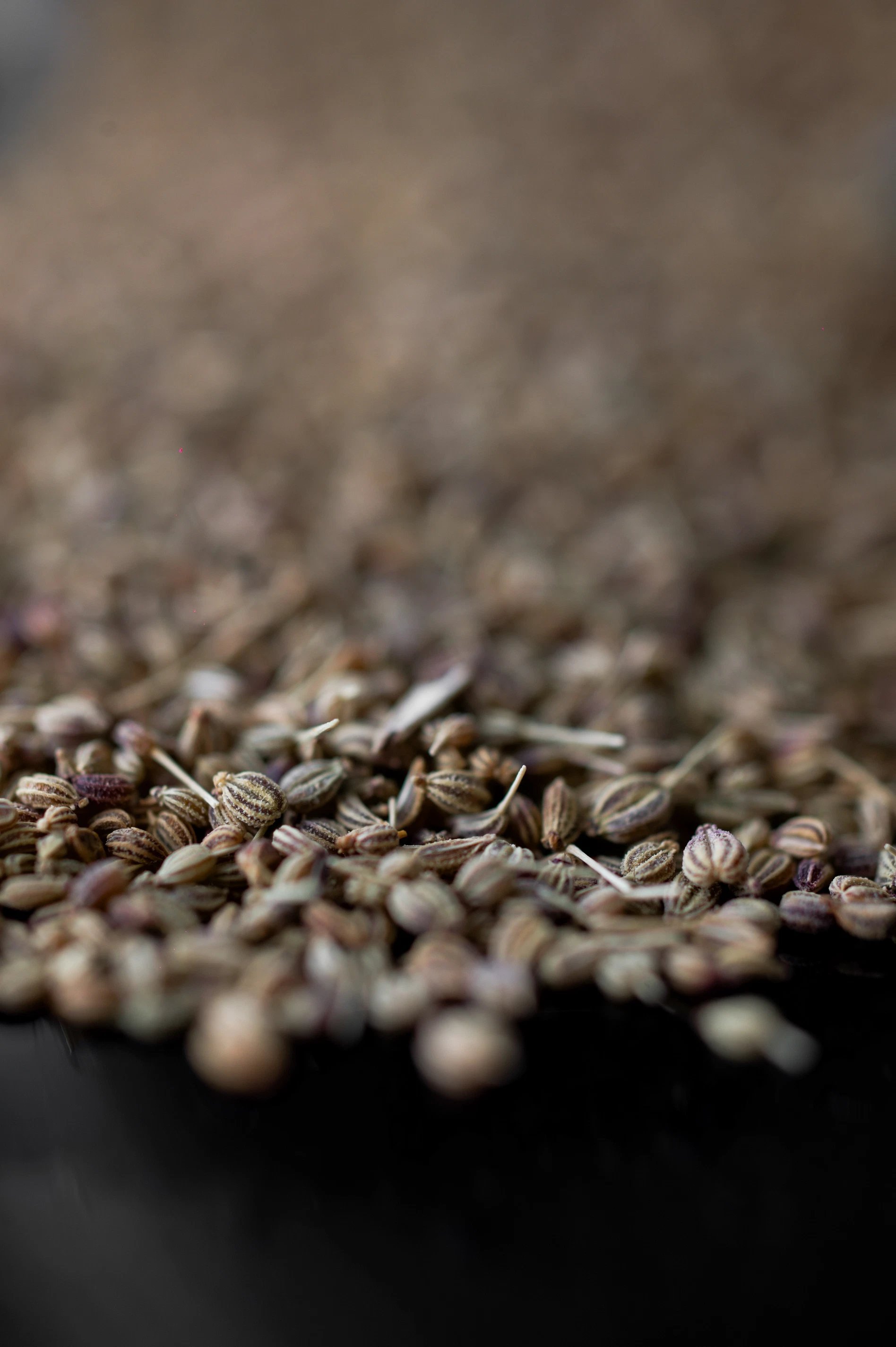 abd4e259-9ce0-4019-bfd3-29b51124c35f