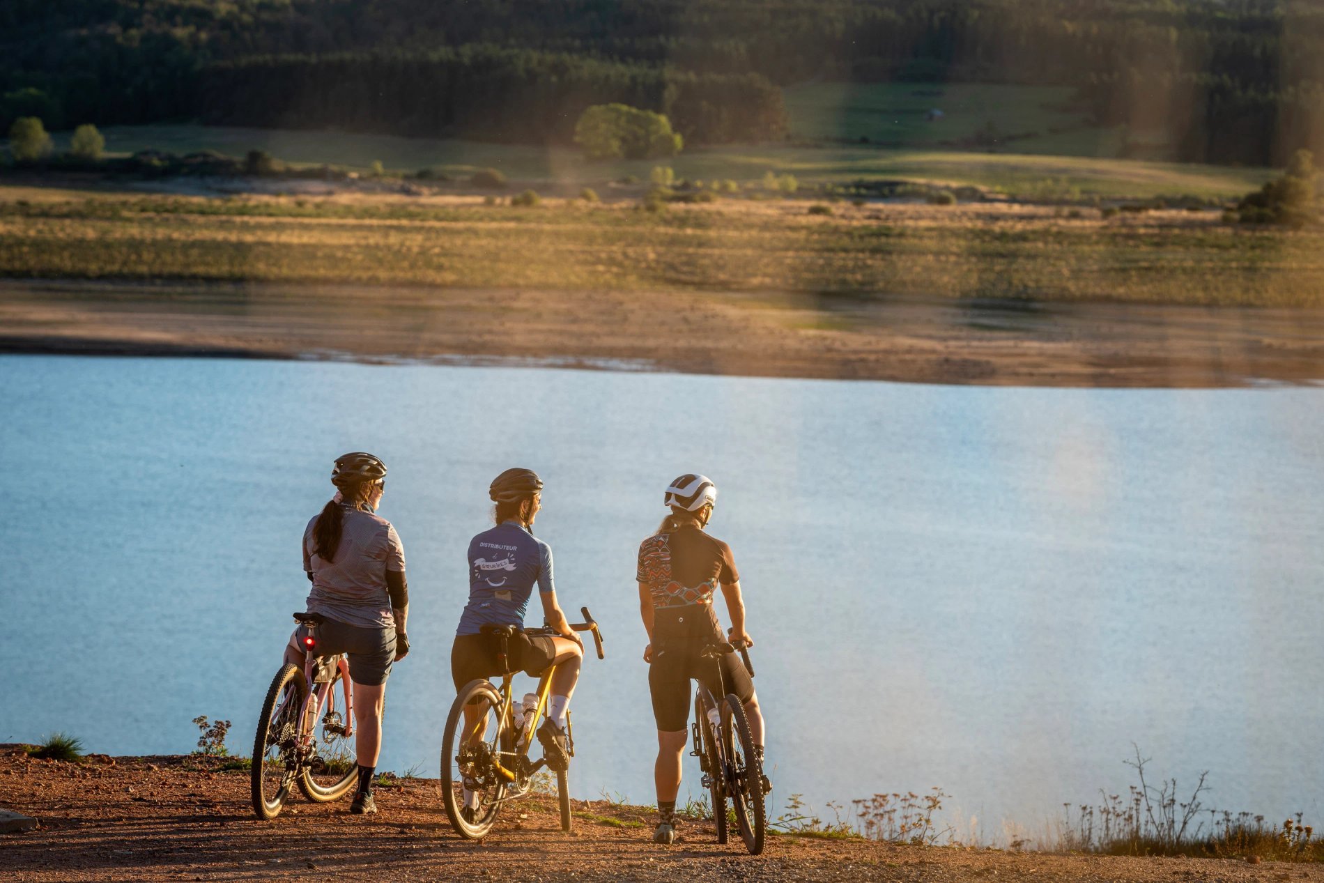 ad1d9b3a-e108-4180-9ff0-228e2e1f3a3c