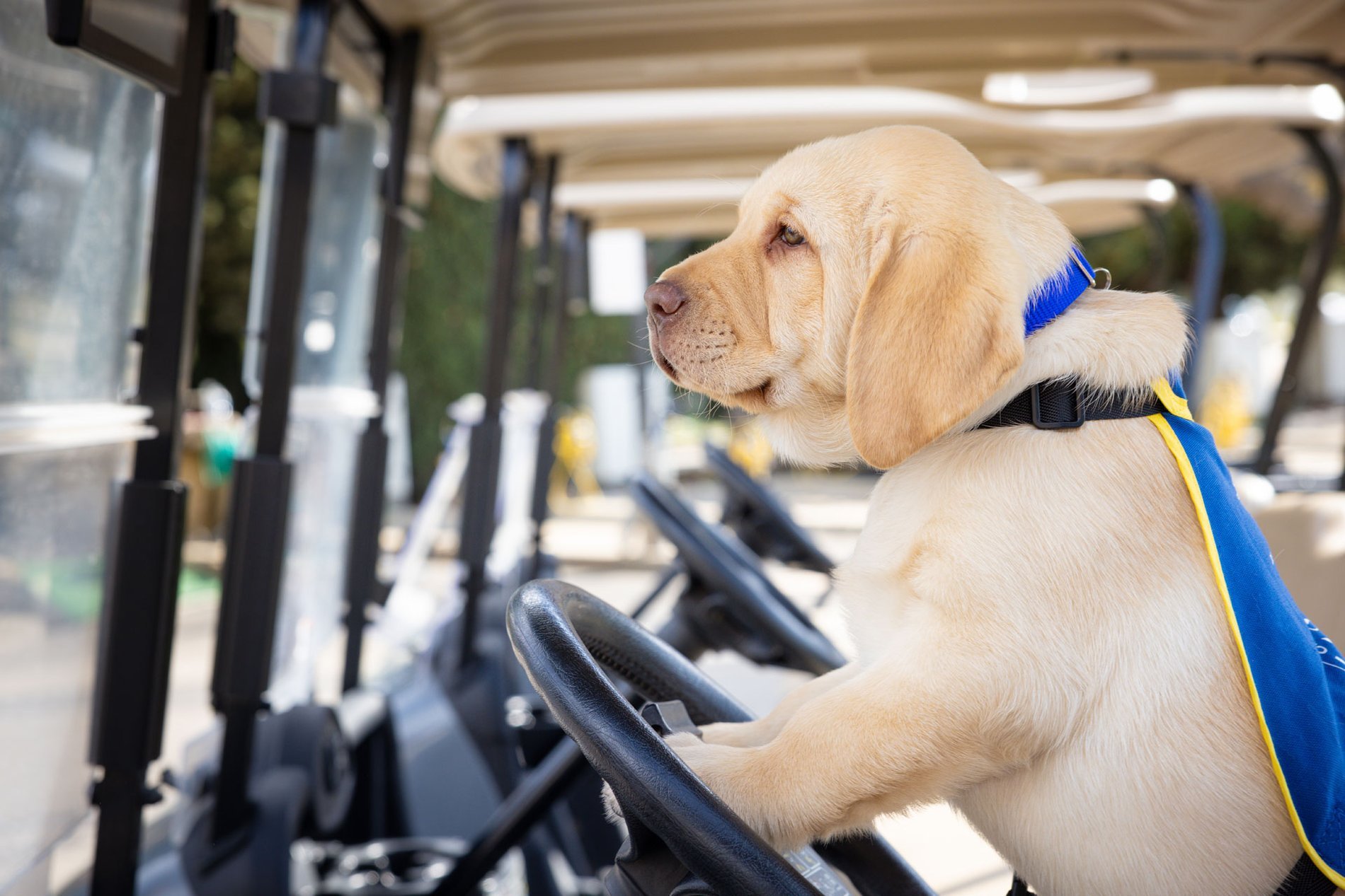 ad8001f1-40ac-455f-b03d-ca8a702f0ce2