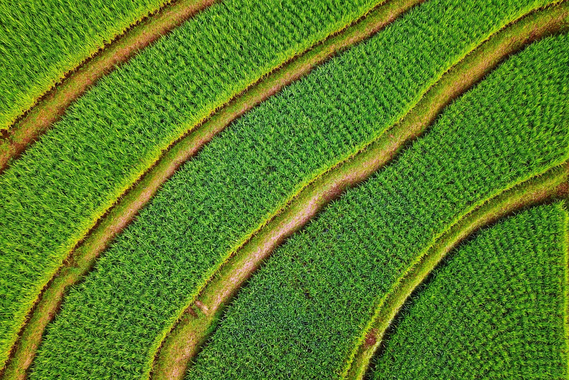 ae11c784-5c60-4a6b-b0ed-31df97354042