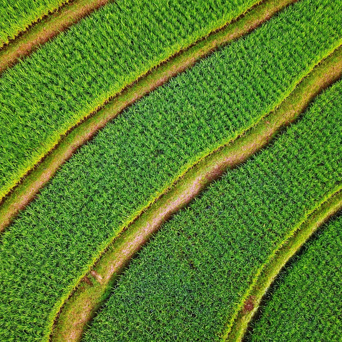 Maison Albar - Amoure, Maison Albar Amoure | Sistelo's landscapes