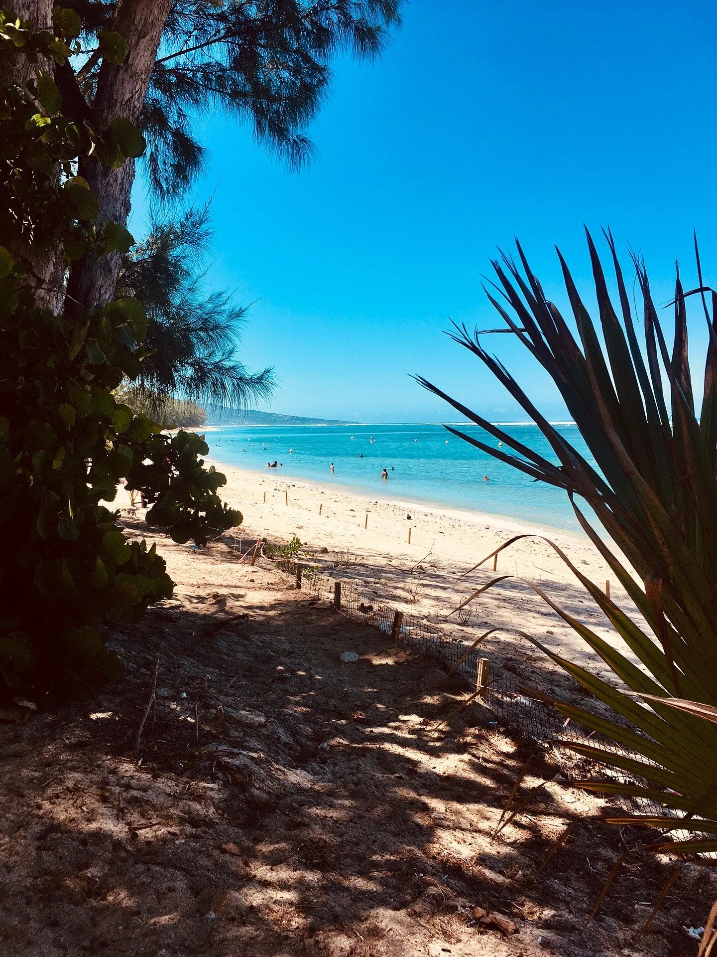 aefc634c-4e81-405d-86b2-4914e5eafadd