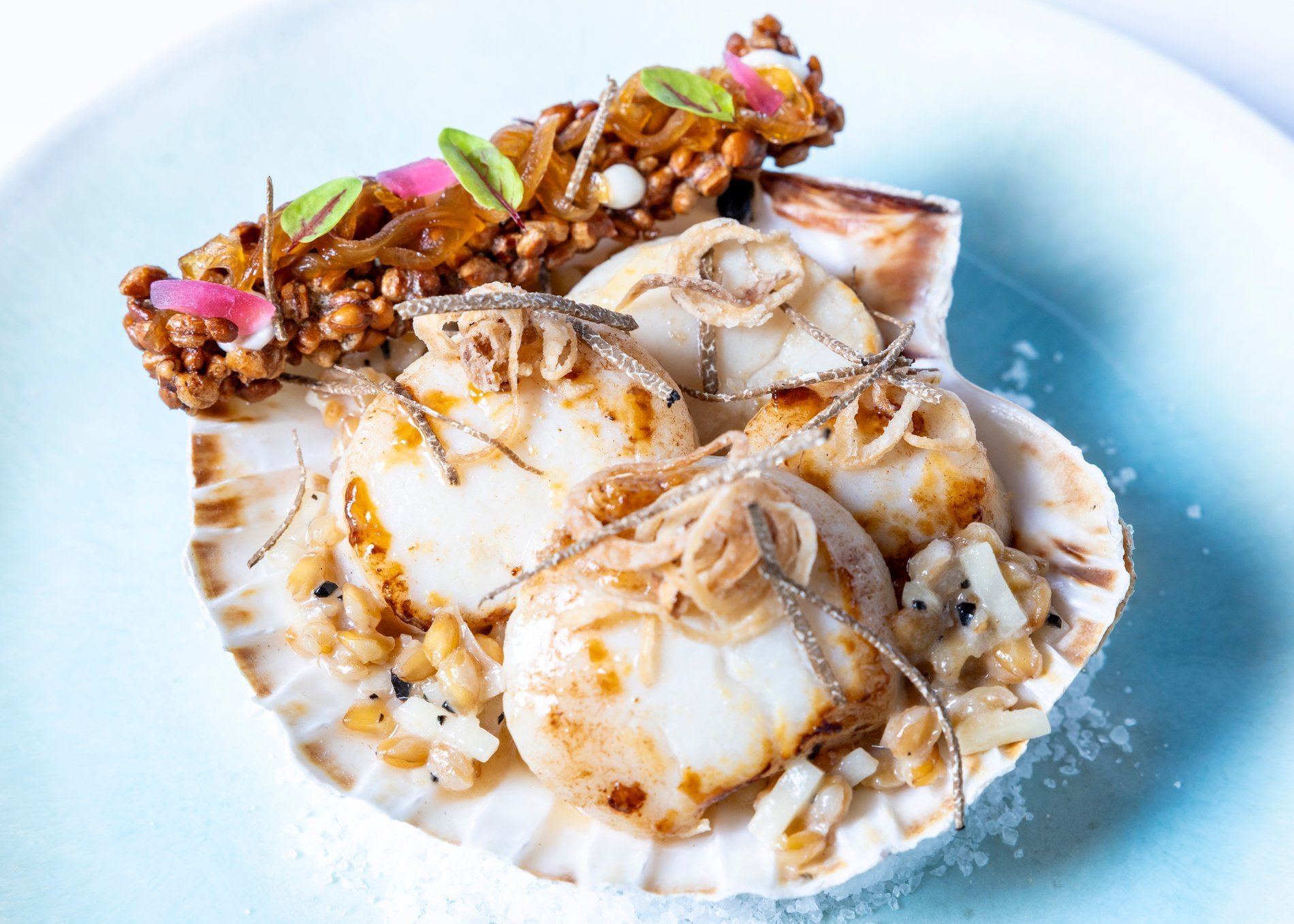 af12d91e-b6ca-42c1-b2b5-1c9ffa8e64d2