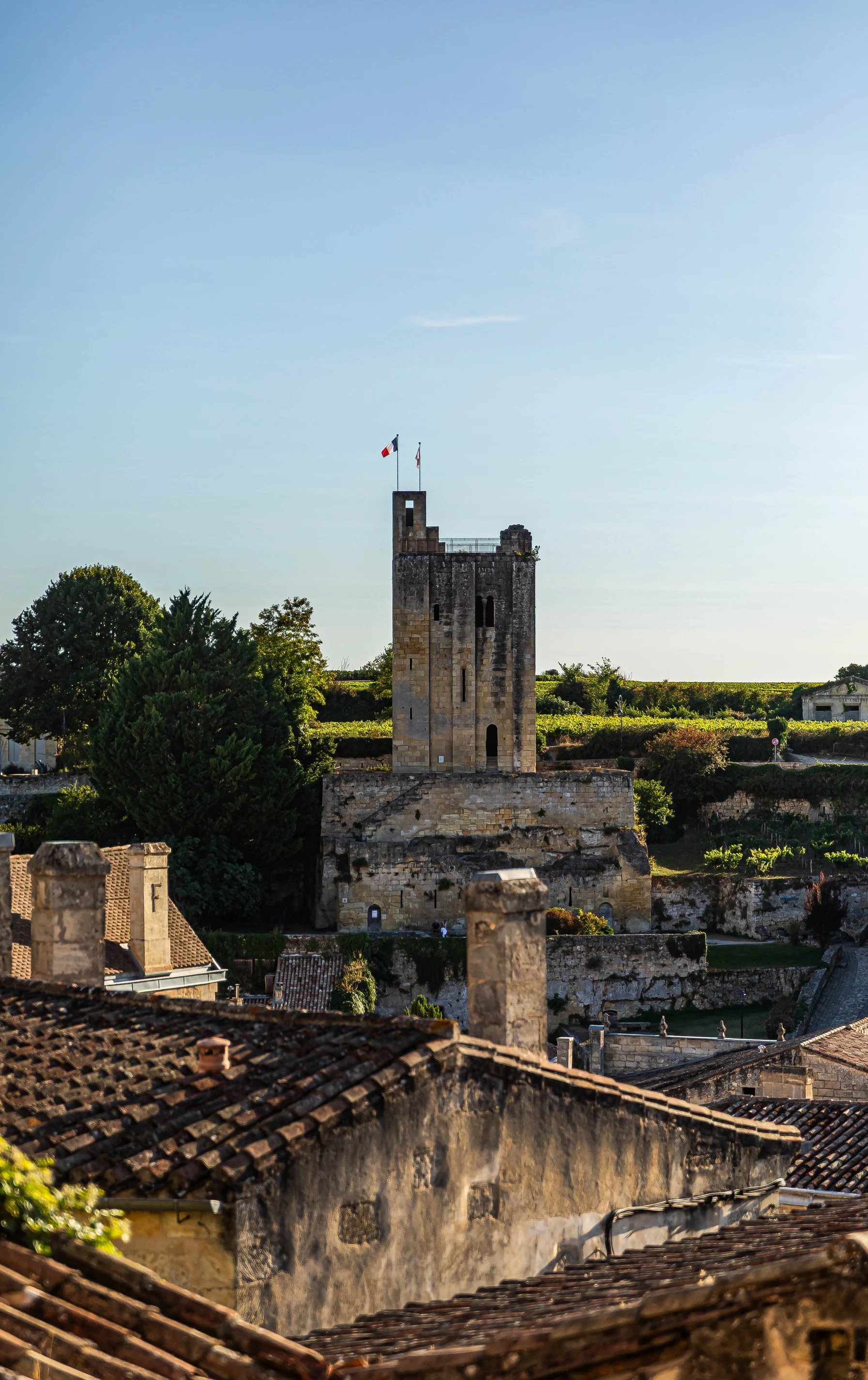 Panorama de Saint-Émilion et de ses monuments depuis les hauteurs