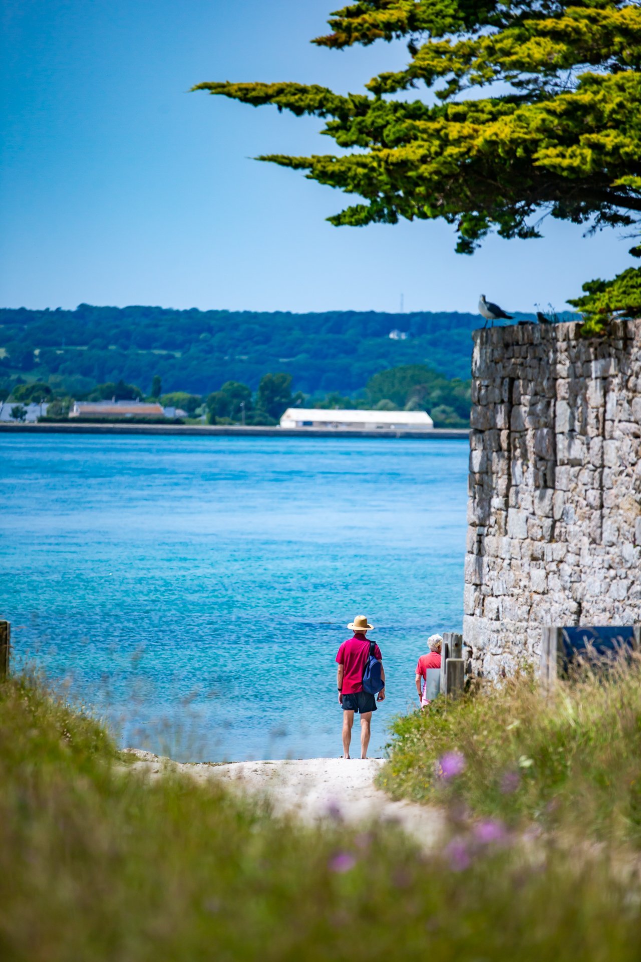 b0391f37-3c82-4eea-bc37-926172c1e99b