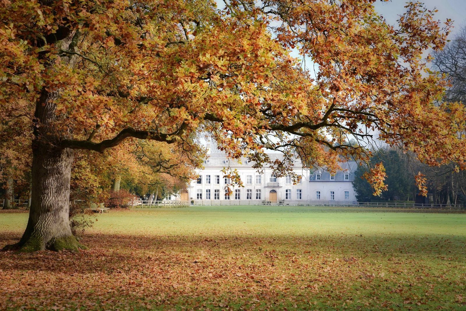 Château de Cocove | Hôtel dans le nord de la France