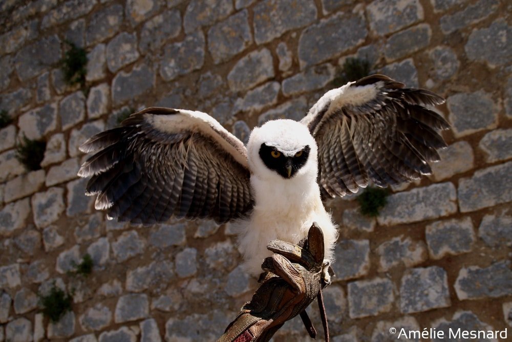 b184b3c0-b888-4a8c-856d-3cfc10c54b7d