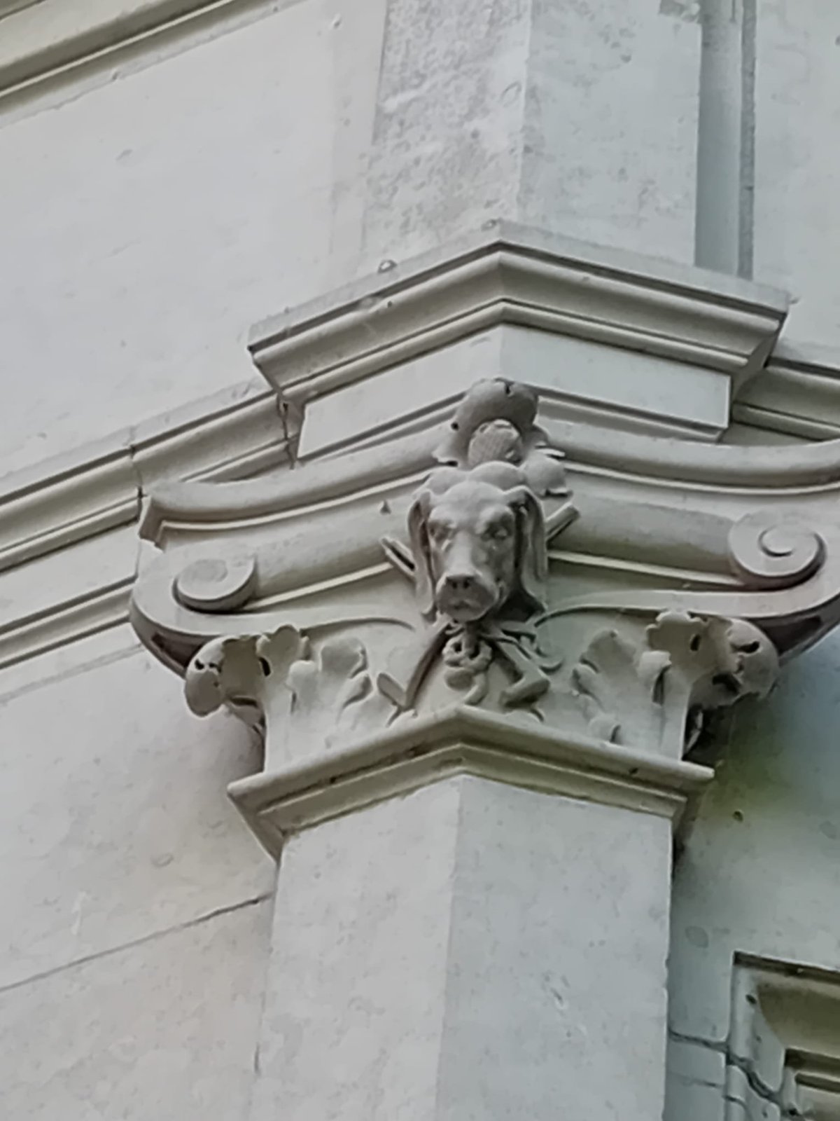 Château de la Rozelle, Sculpture ornementale en forme de tête de chien sur un bâtiment à La Rochelle