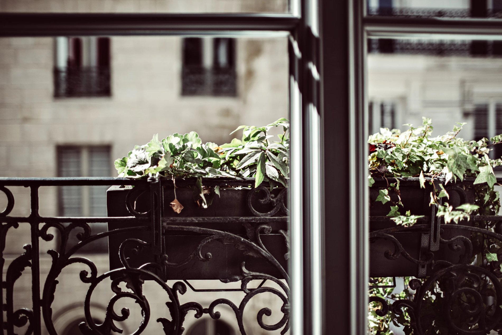 b2bde66f-dd5b-4532-8379-16fa1bba23c2