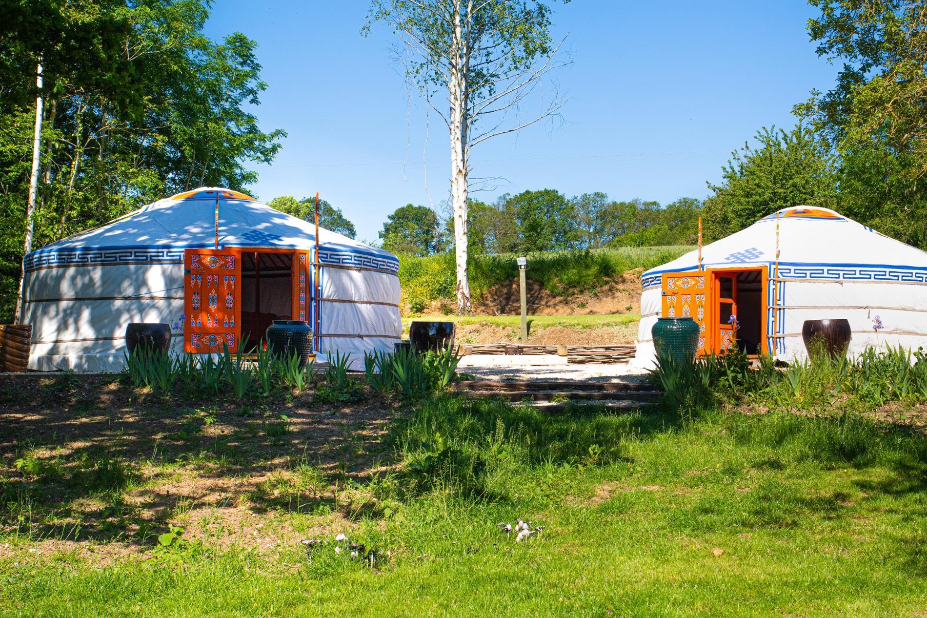 b2ce6f21-433e-464b-8679-35dd7db17c9a