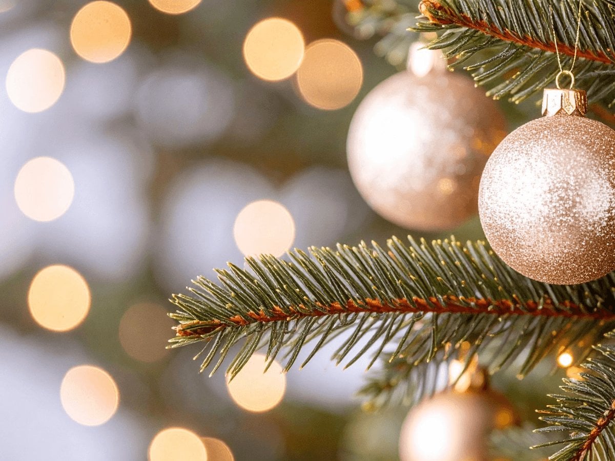 b3227998-41ca-4794-a4f4-59db7d9fc54c