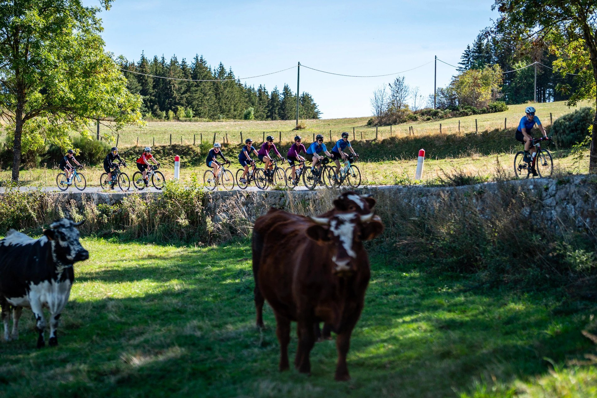 b3332e32-d99a-4f7a-b6a2-736541c88f02