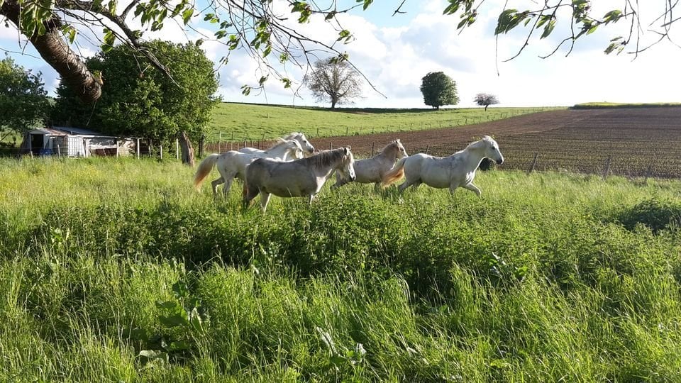 b3933c91-821b-4fcc-b2bd-61ce3954eb3c