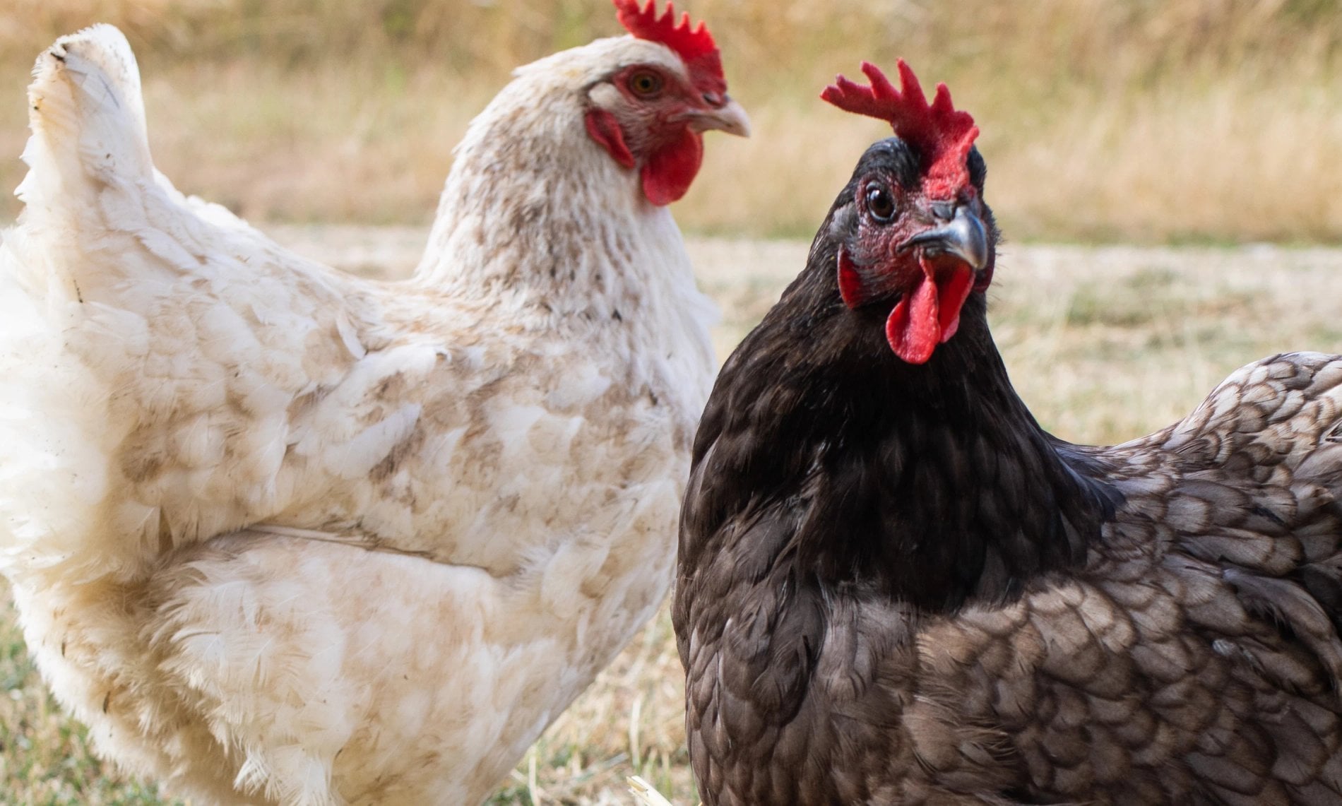 b3feb2ad-7ed5-4023-a4a5-9272d72fe2c9