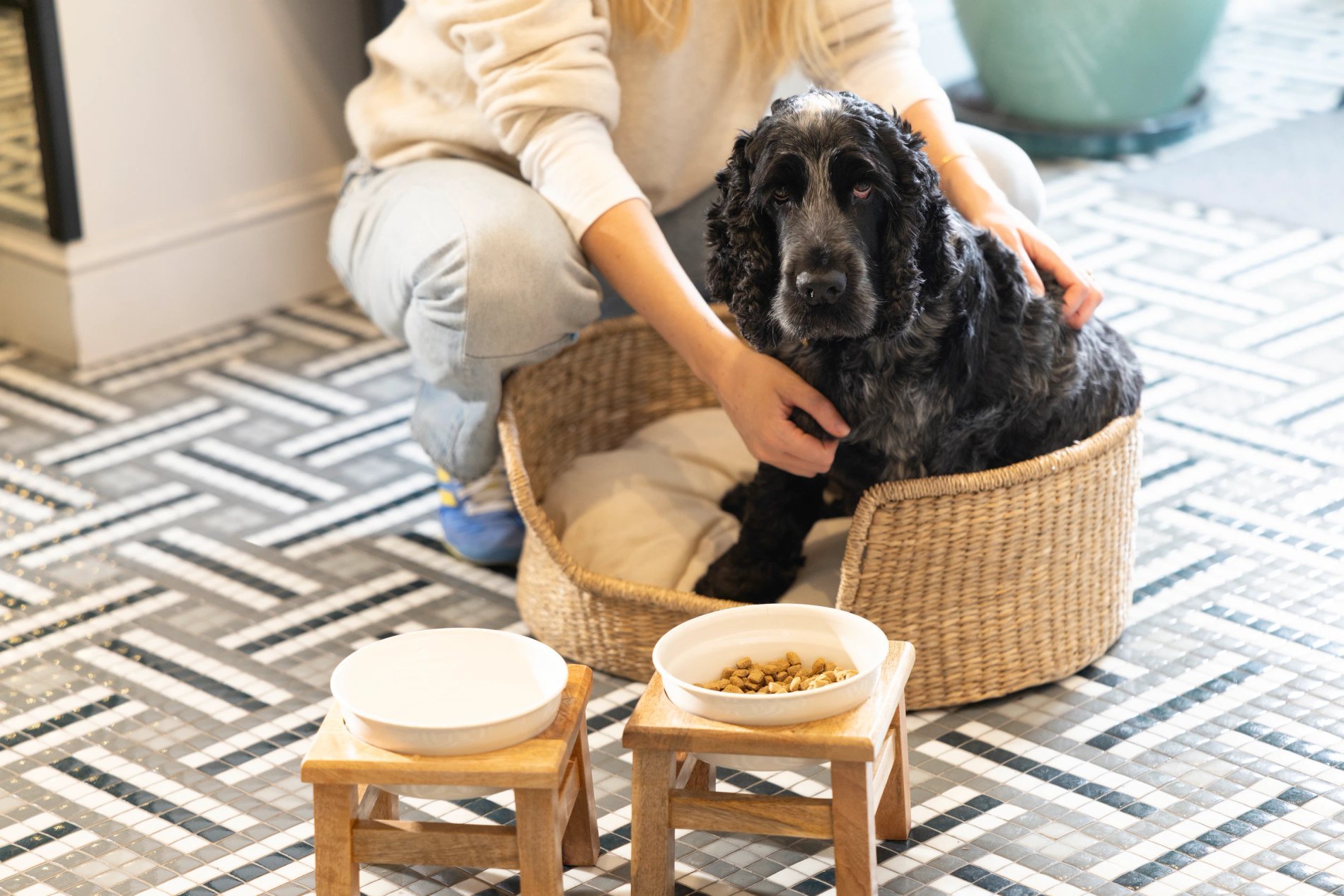 Hotel Le Lavoisier Pet-friendly