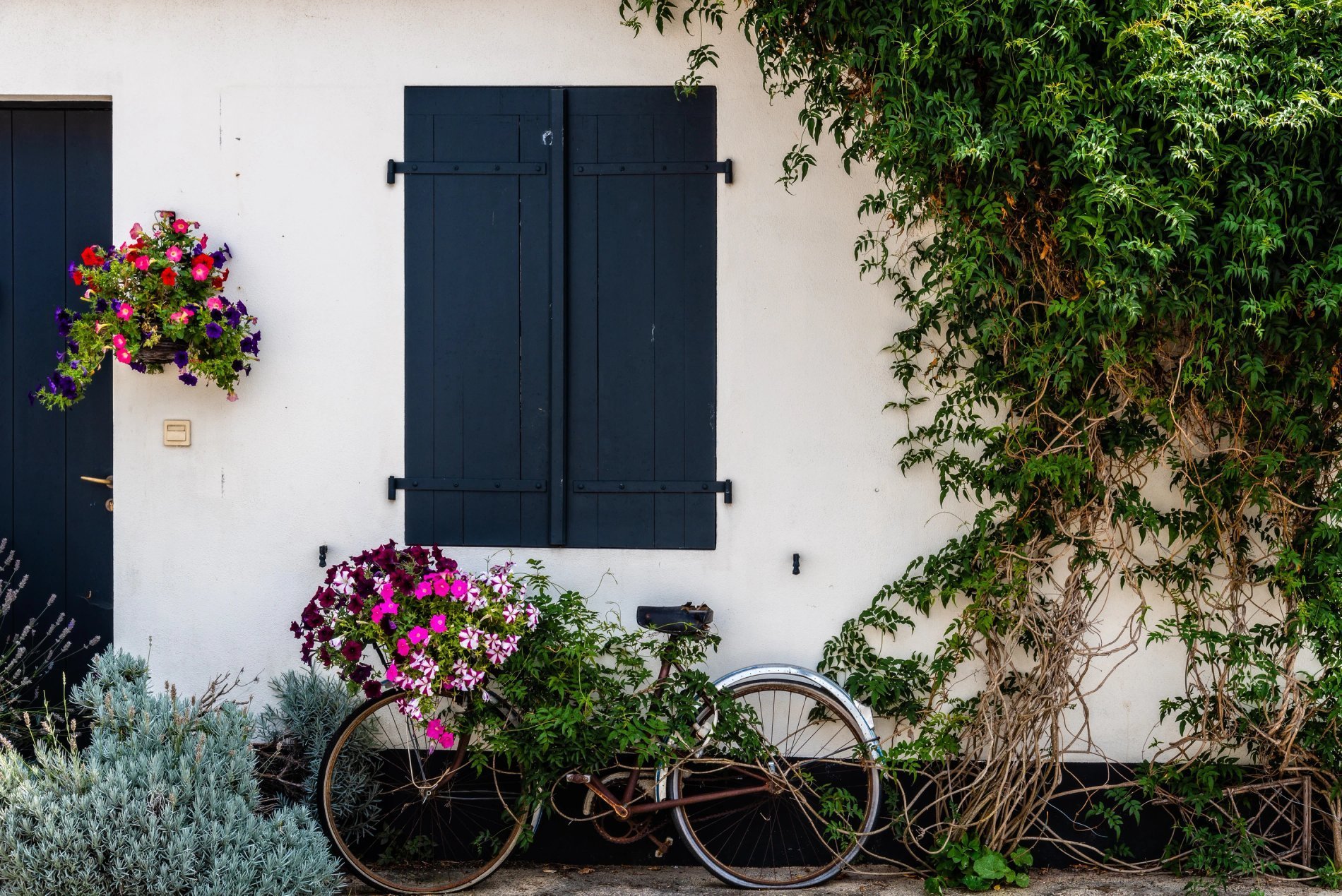 b4e13337-9378-4b96-8ca0-1e75b22c46d2