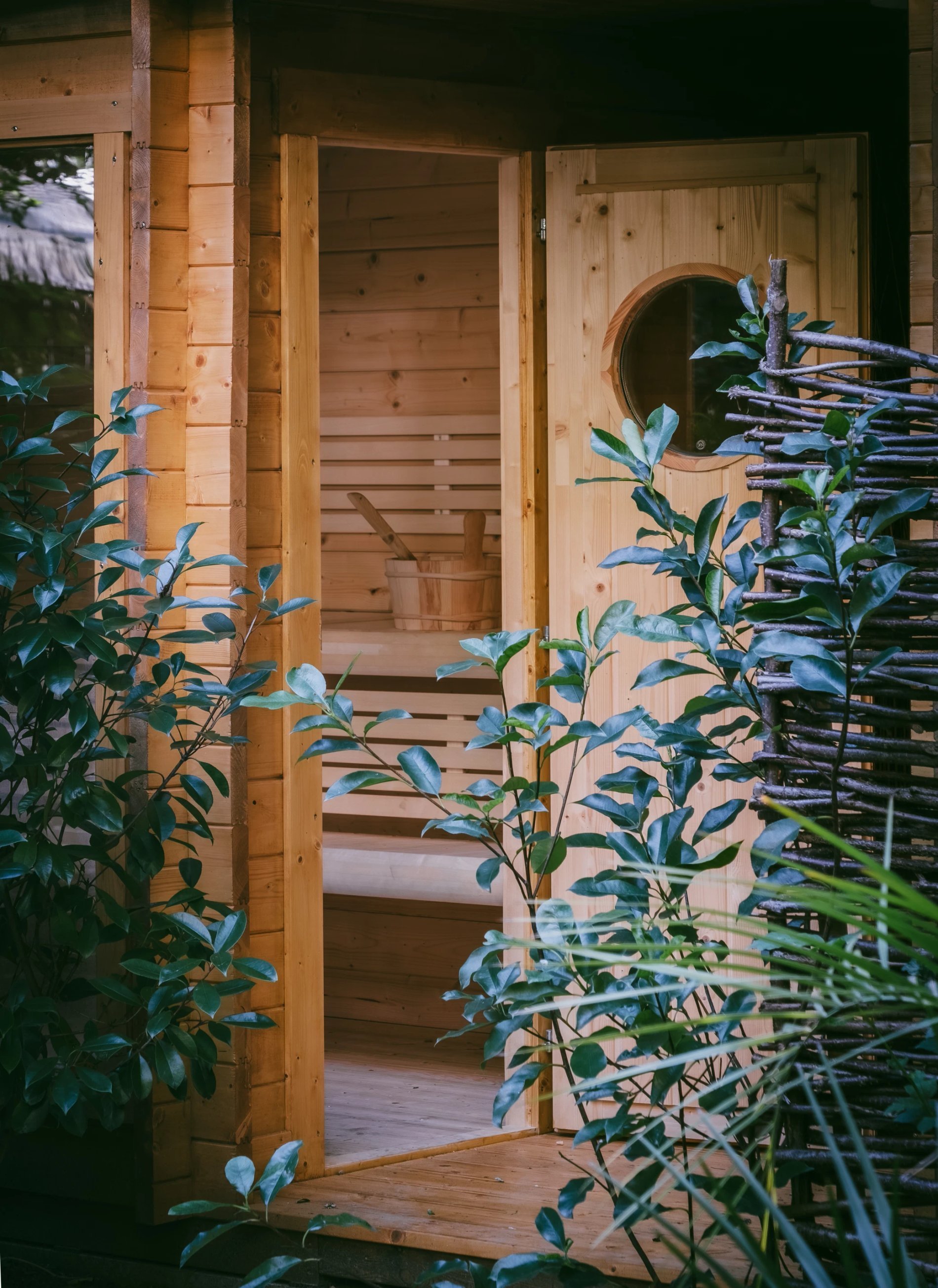 b50410c1-15c8-44d6-bf8a-e36039f448cf