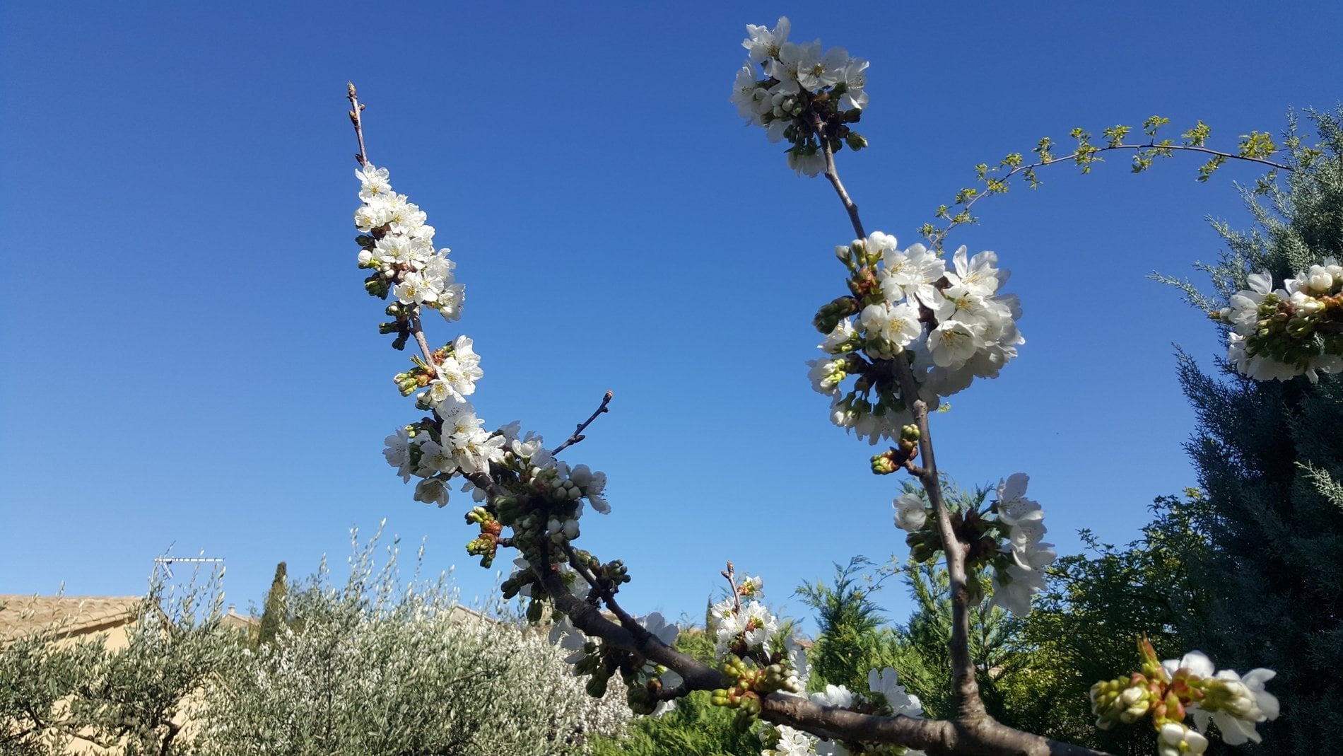 b55fac1e-2d0e-417d-af29-fe8828614c0b