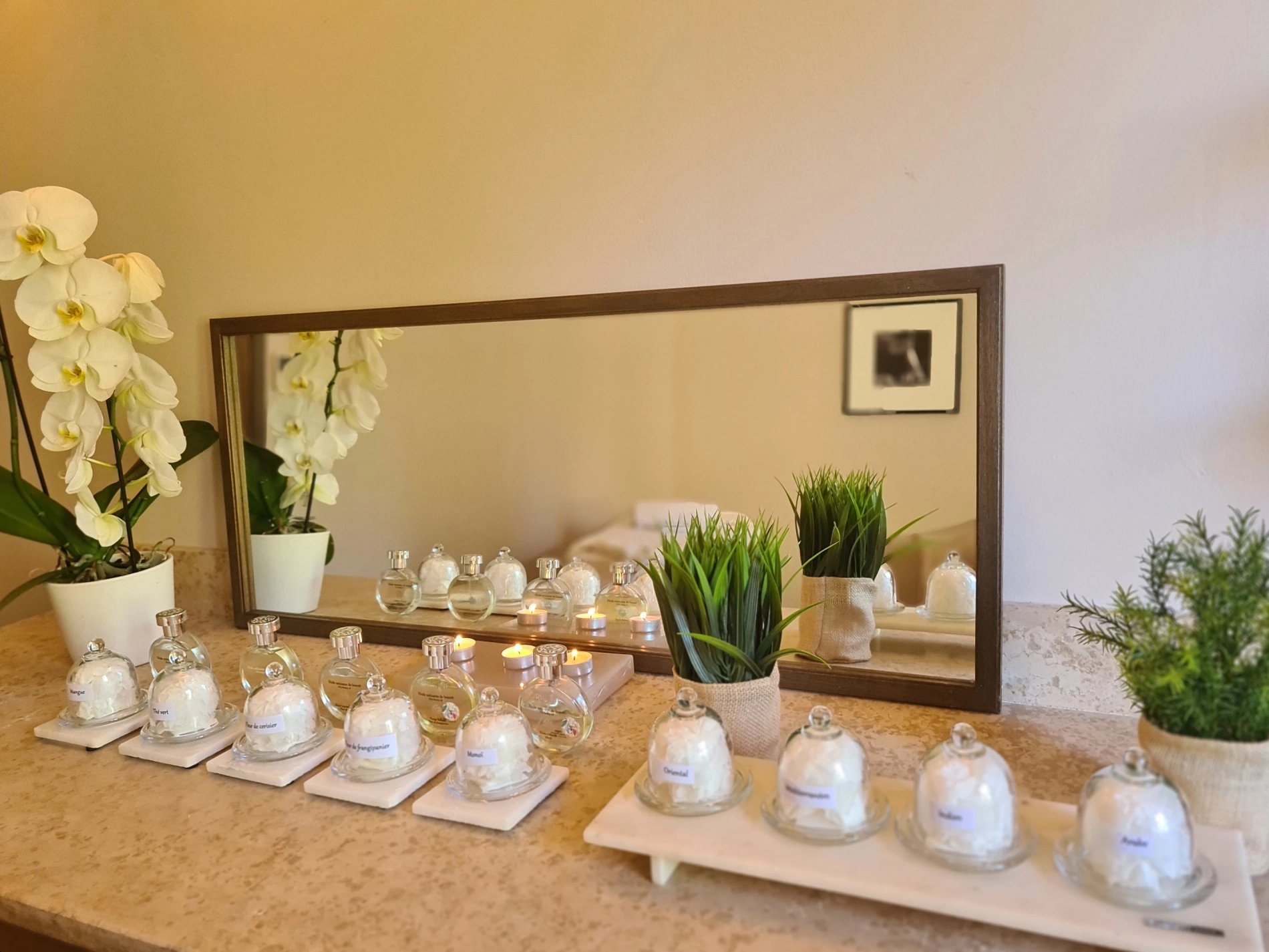 b5f96cd8-bce5-47e7-aa25-f3b2f1e6e29d