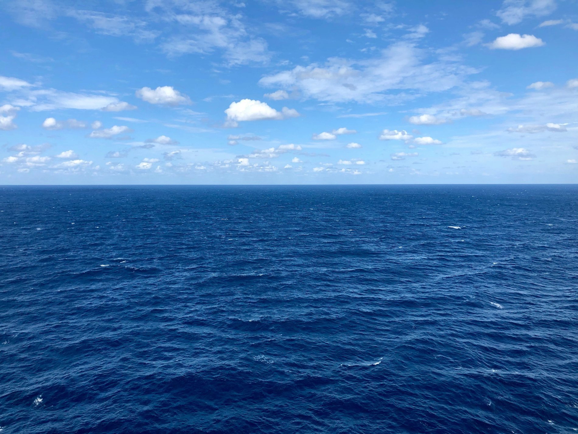 b6223f81-0446-4d1d-8f34-bdacefd598af