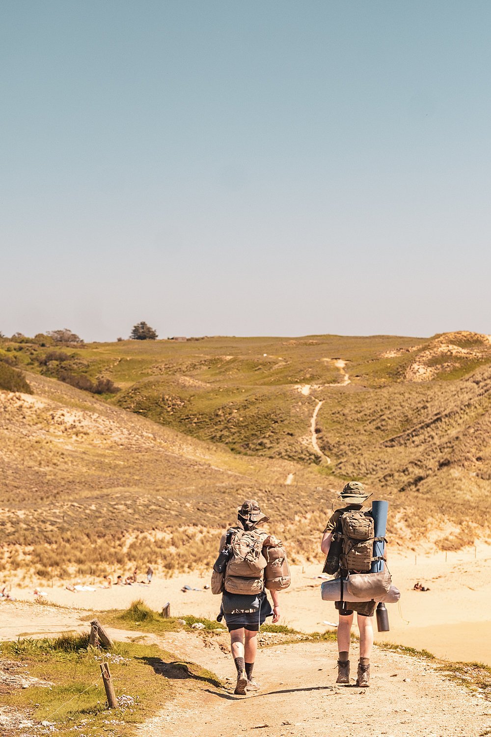 b6556058-5d00-4b5e-8212-0627c8d85a59