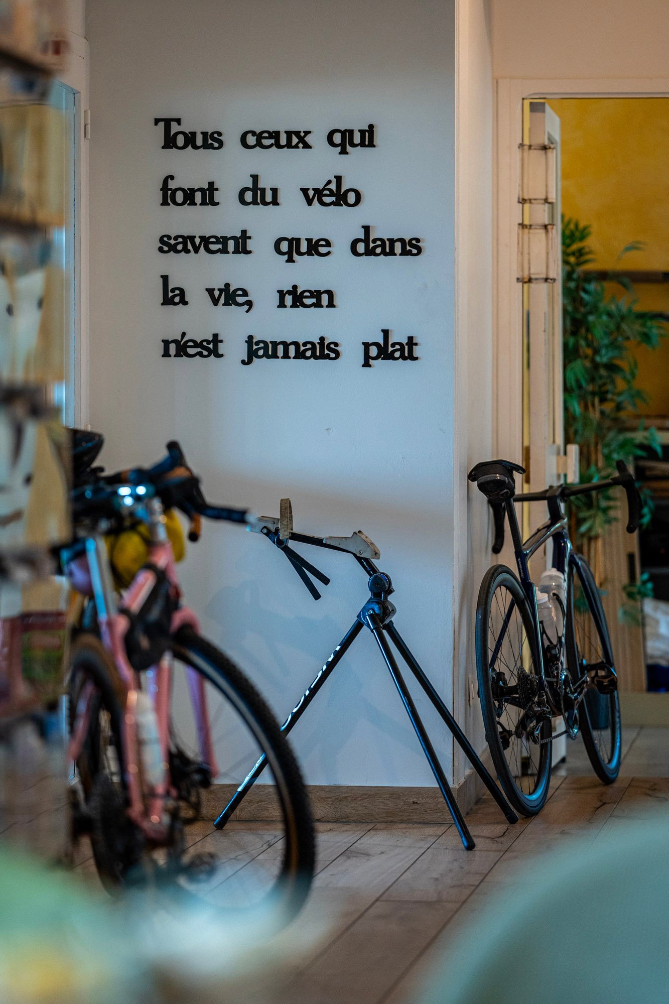 b66e2b32-2bff-4bb2-b937-801efa969748