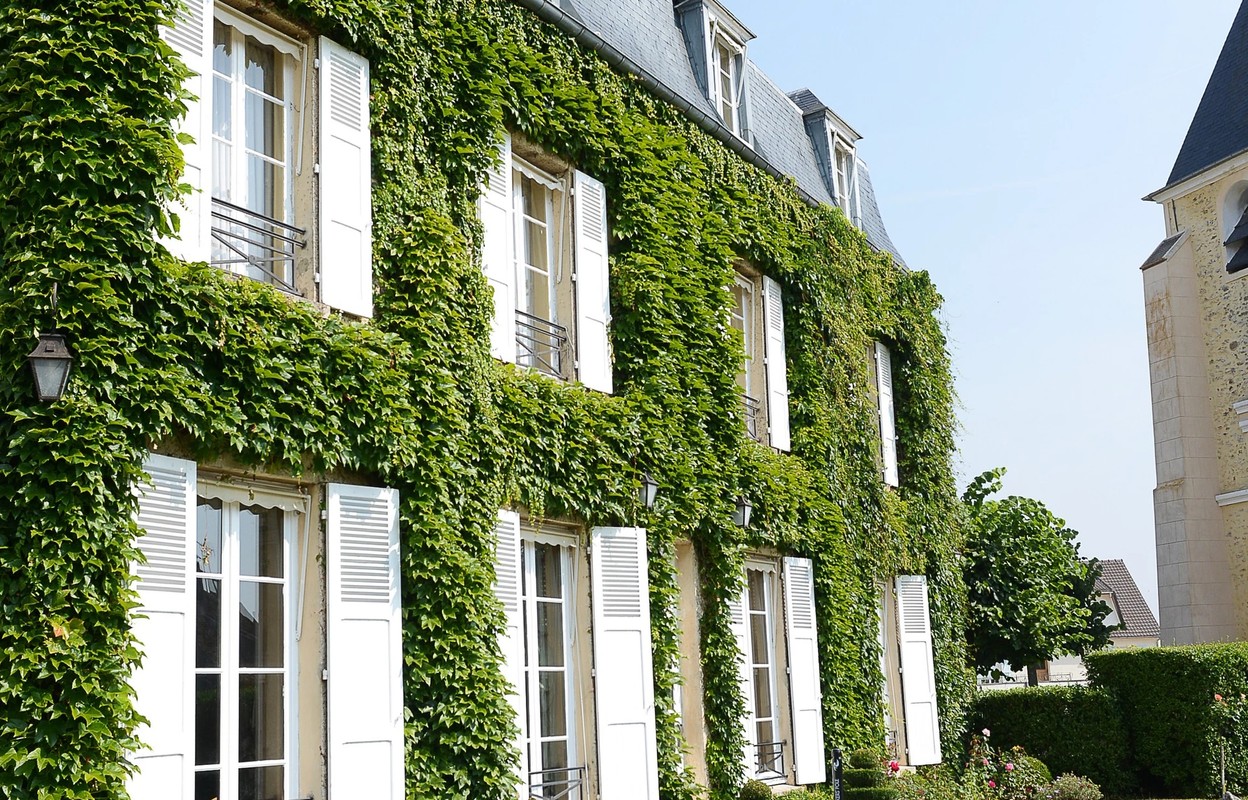 Château de Sancy,