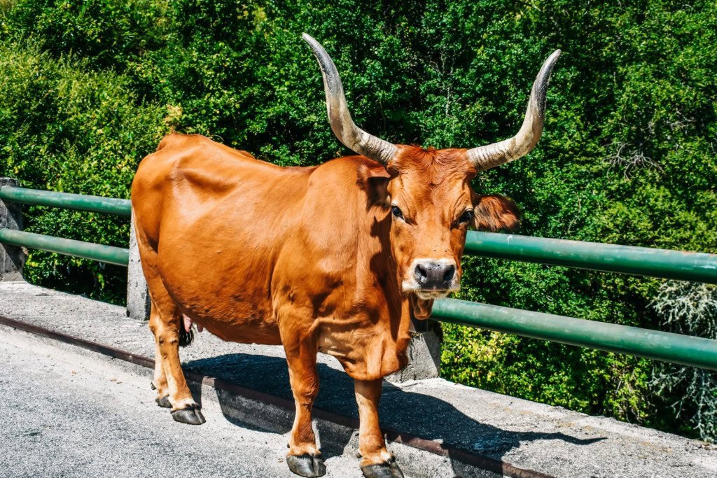 b8825a39-6c2f-47ca-becb-51a22962215f