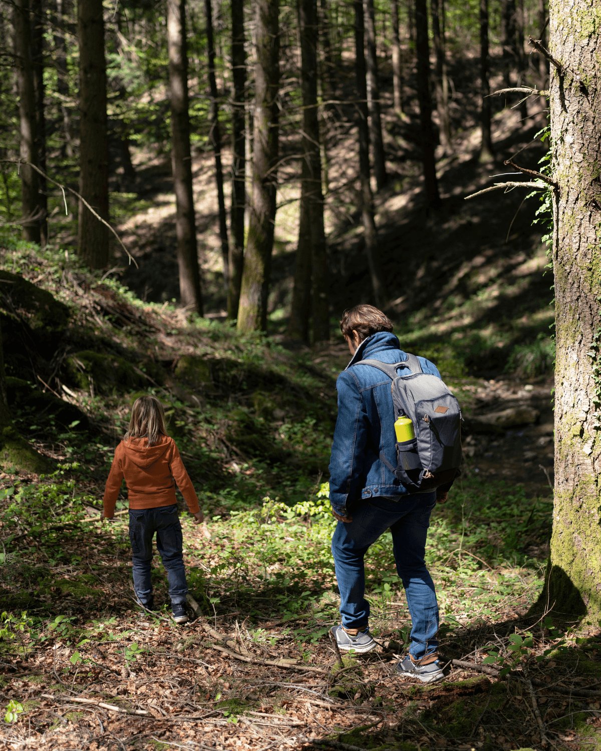 tourisme à chinon balades et randonnées