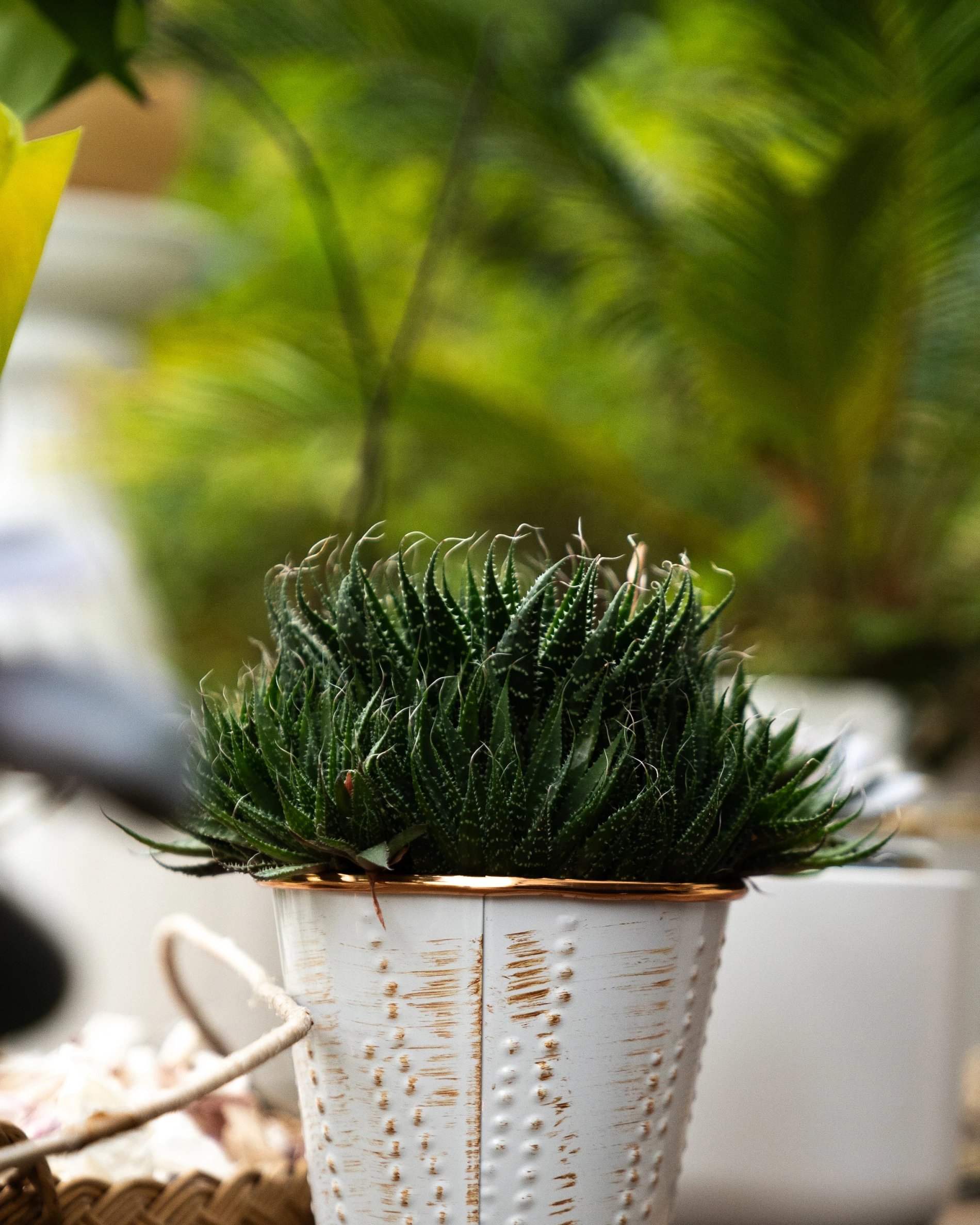 b8accc58-3589-46e2-8197-05db0d6b76e7