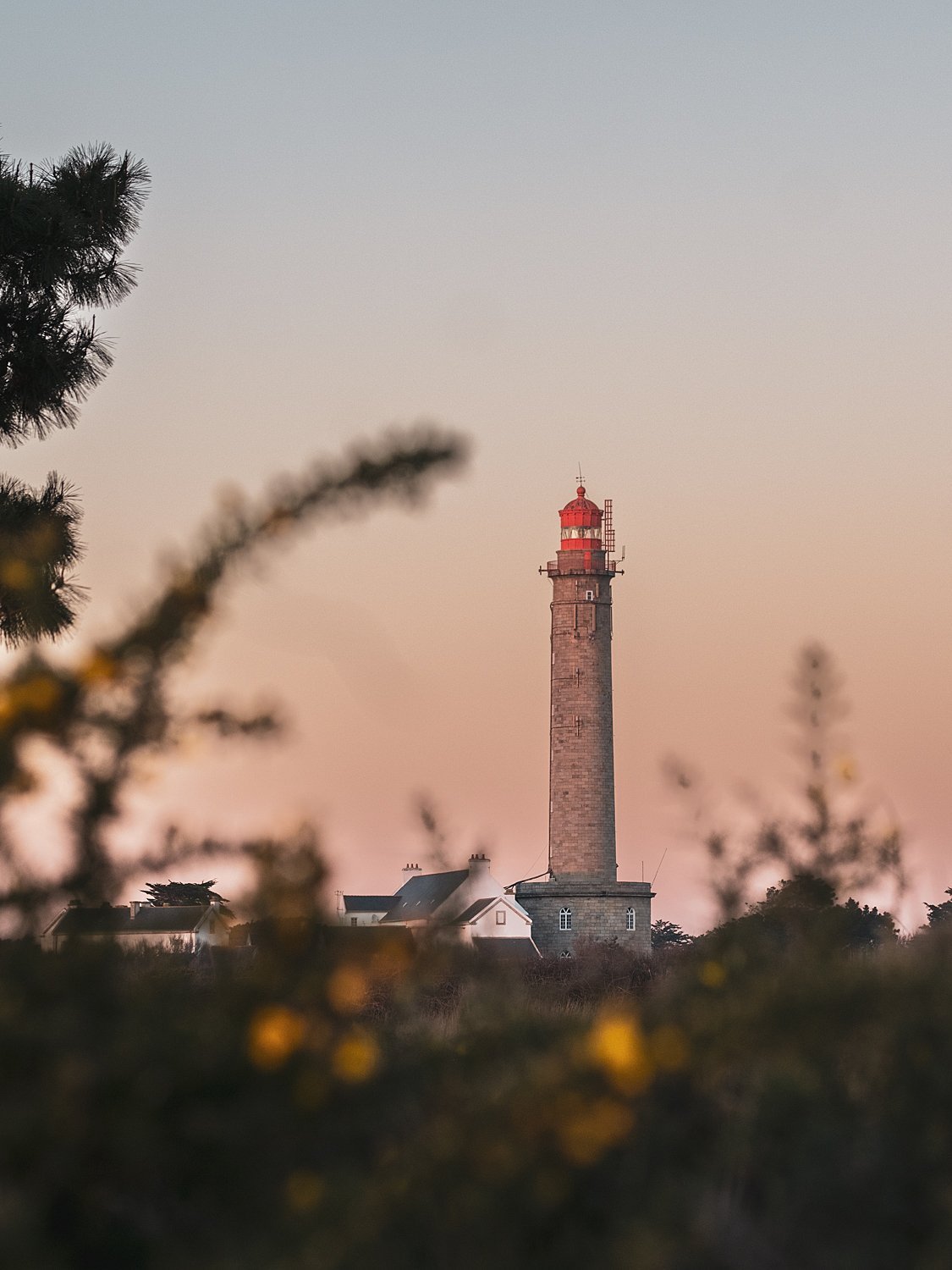 b8d9a0d3-1dac-4cd4-9551-24d09aa4527c