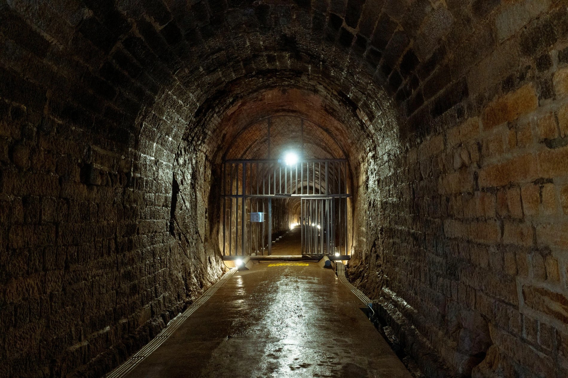 b8ecf777-4581-4b83-ad10-3744d9d939a2