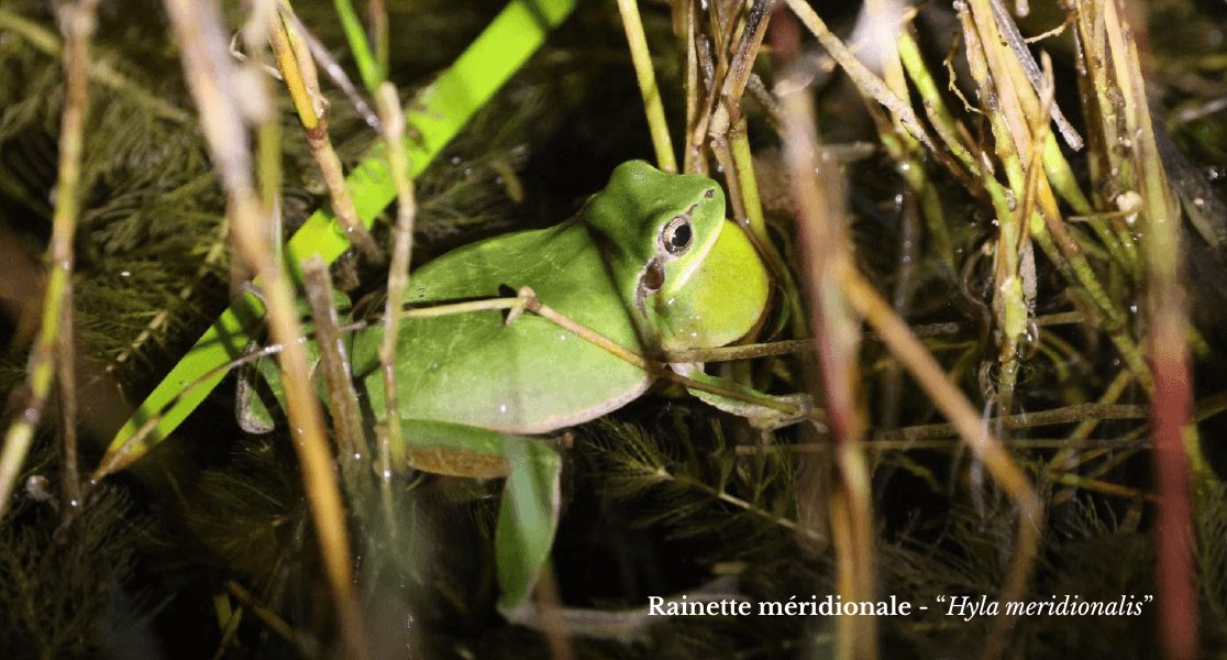 b99a58b8-2b60-4f4d-8444-293e55a553c2