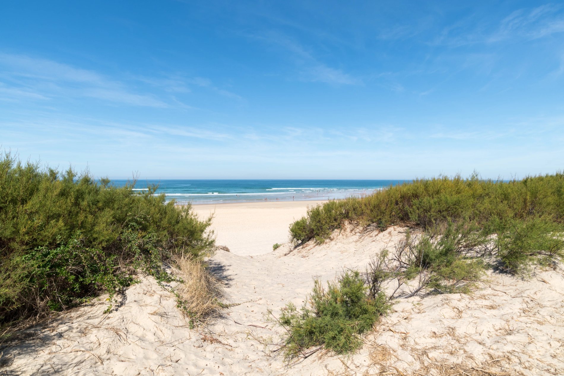 bb49e919-ec97-4b55-aab2-8c229459d5ae