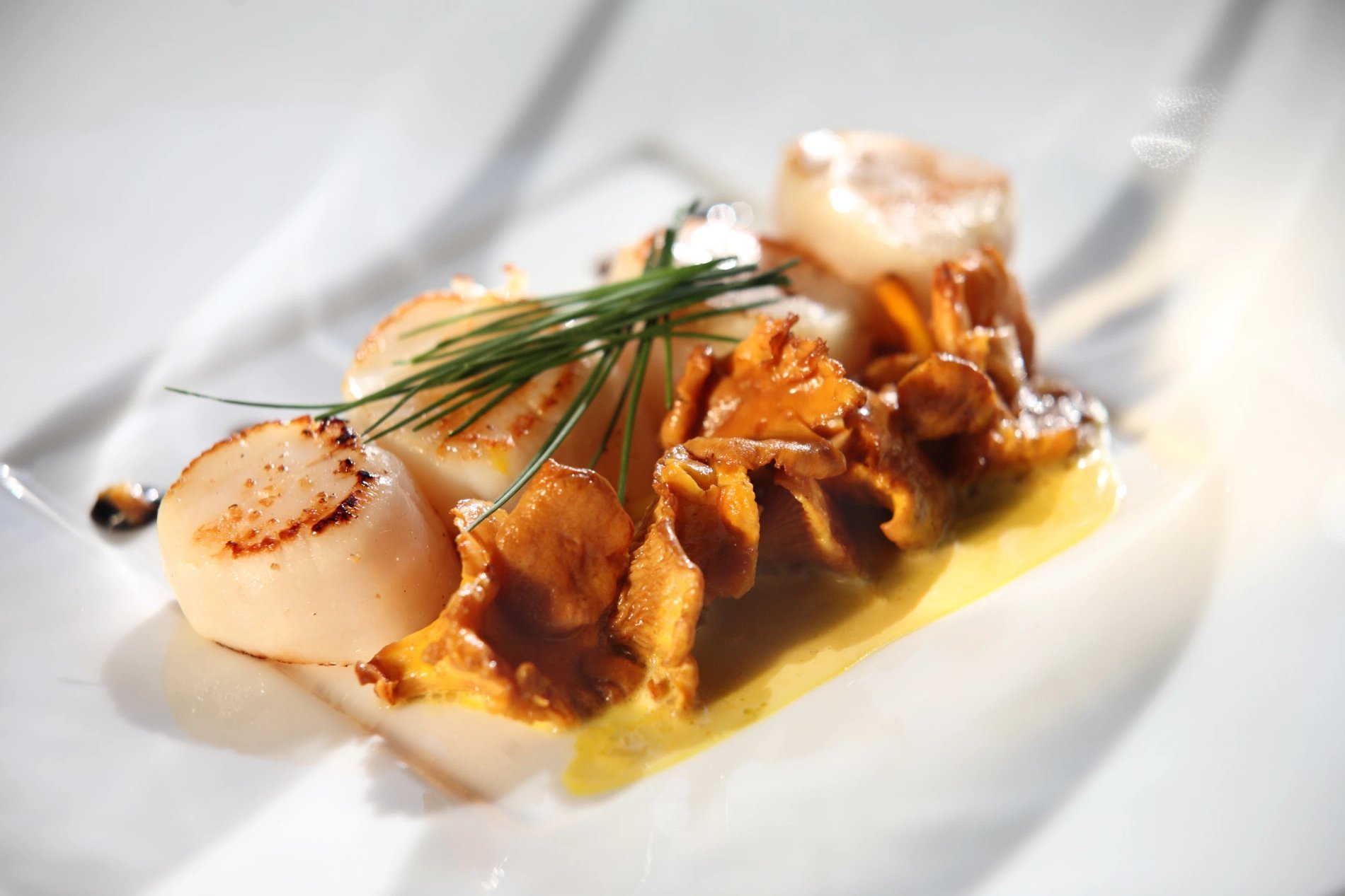 Plat gastronomique de noix de Saint-Jacques poêlées, symbolisant la cuisine raffinée du restaurant de l'Hôtel La Ramade.