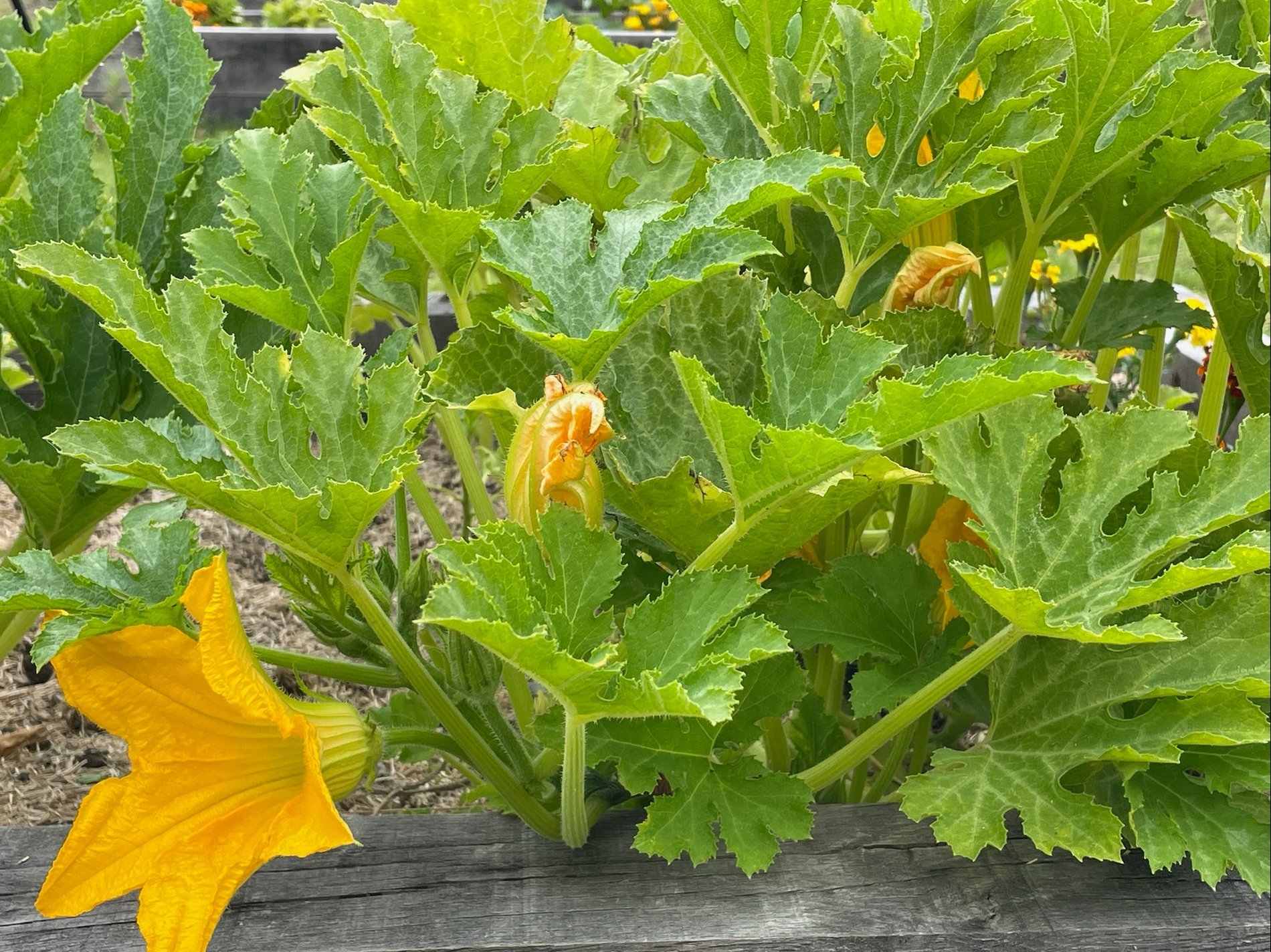 bbb9956a-471e-4267-b0b4-e677562a2ffe