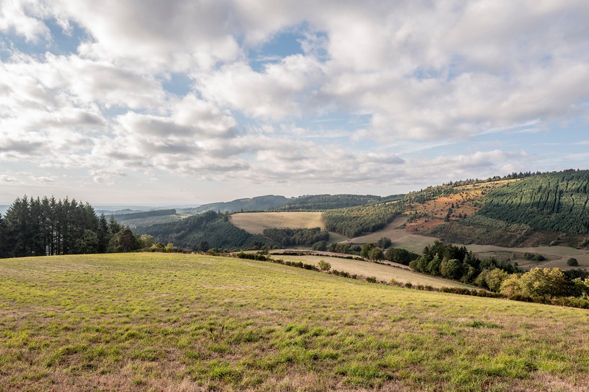 Panorama sur les collines vallonnées de Corrèze.