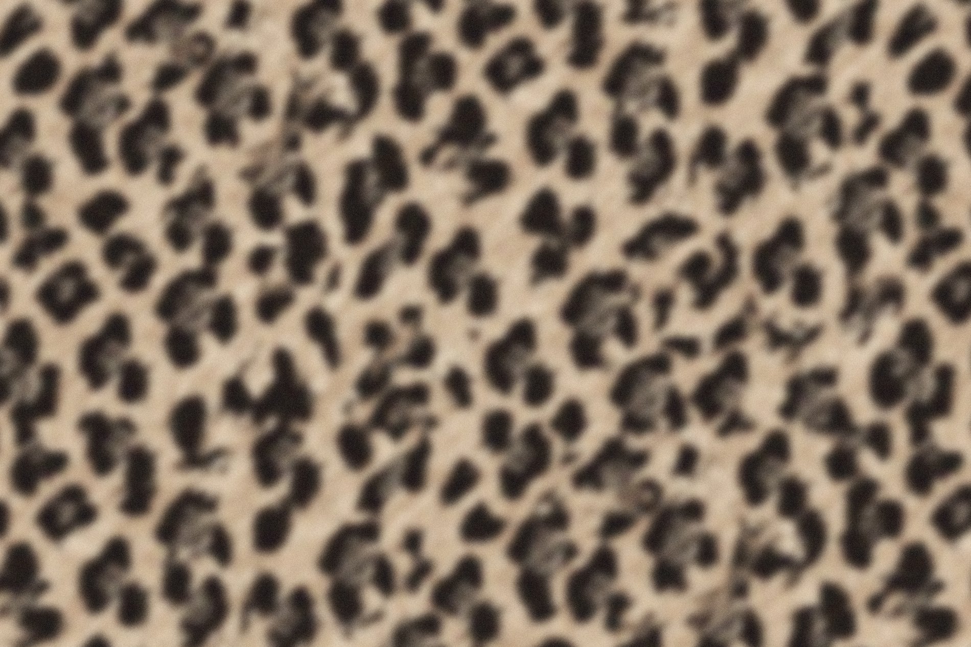 Elysée Secret | Fond