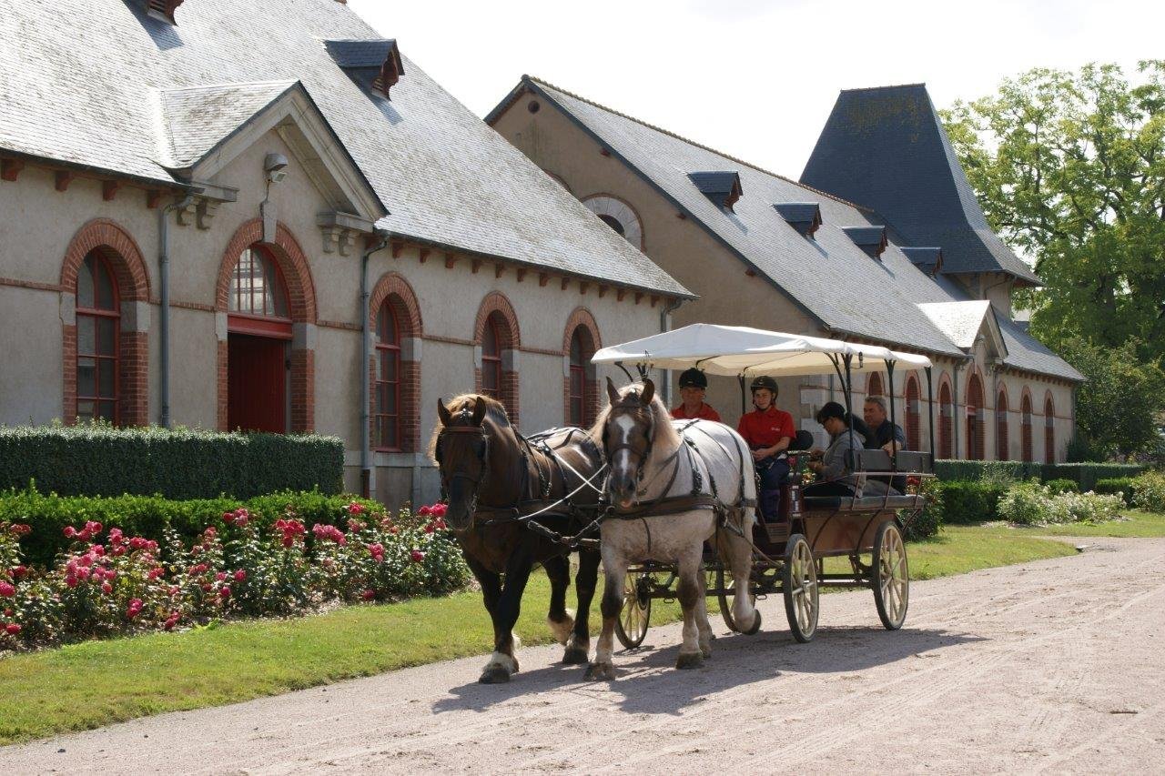 SPA Marin Val André | Tourism in Brittany