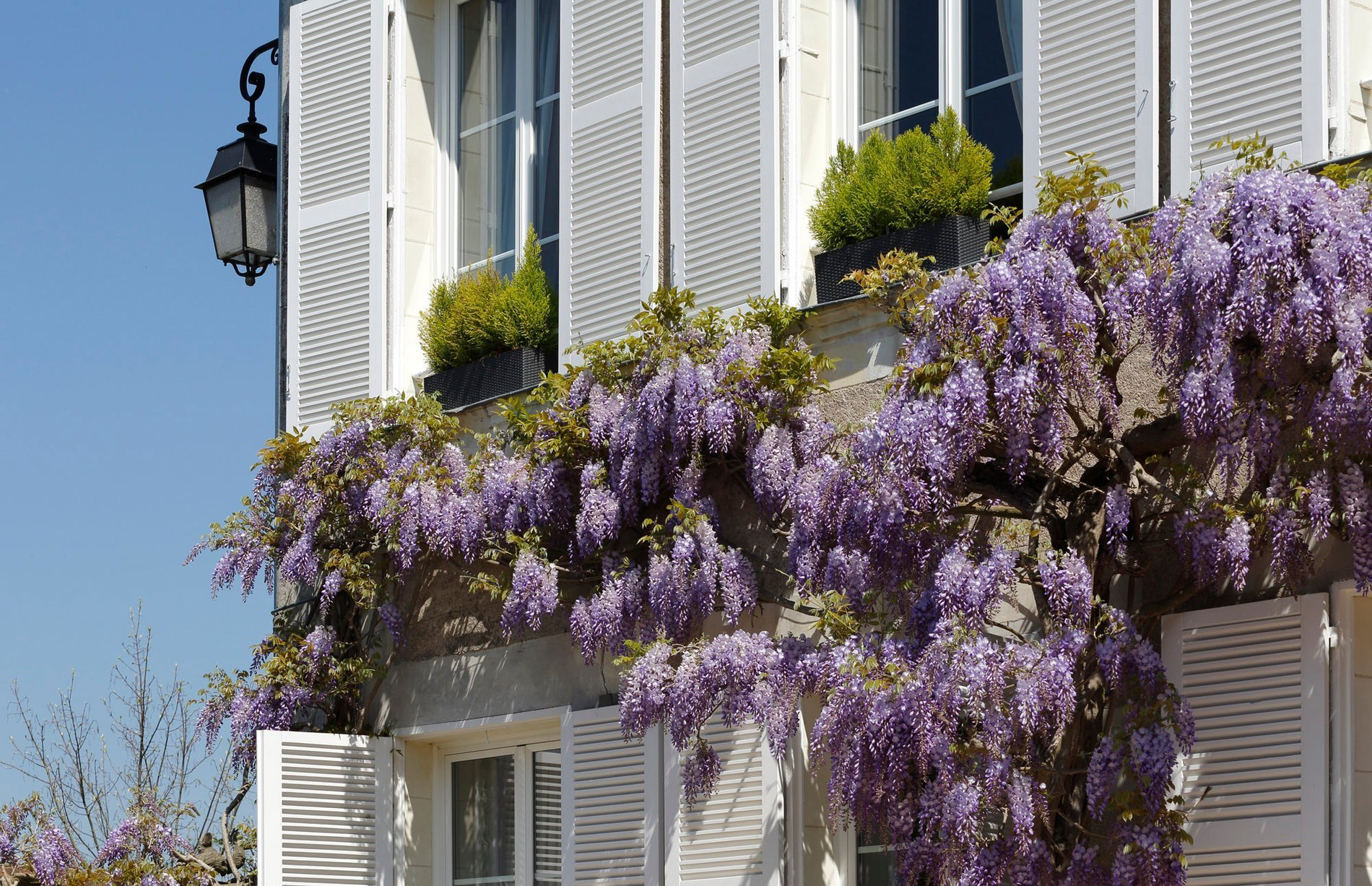 bfda9154-4e1a-4357-8a6f-b3c46398e9fc