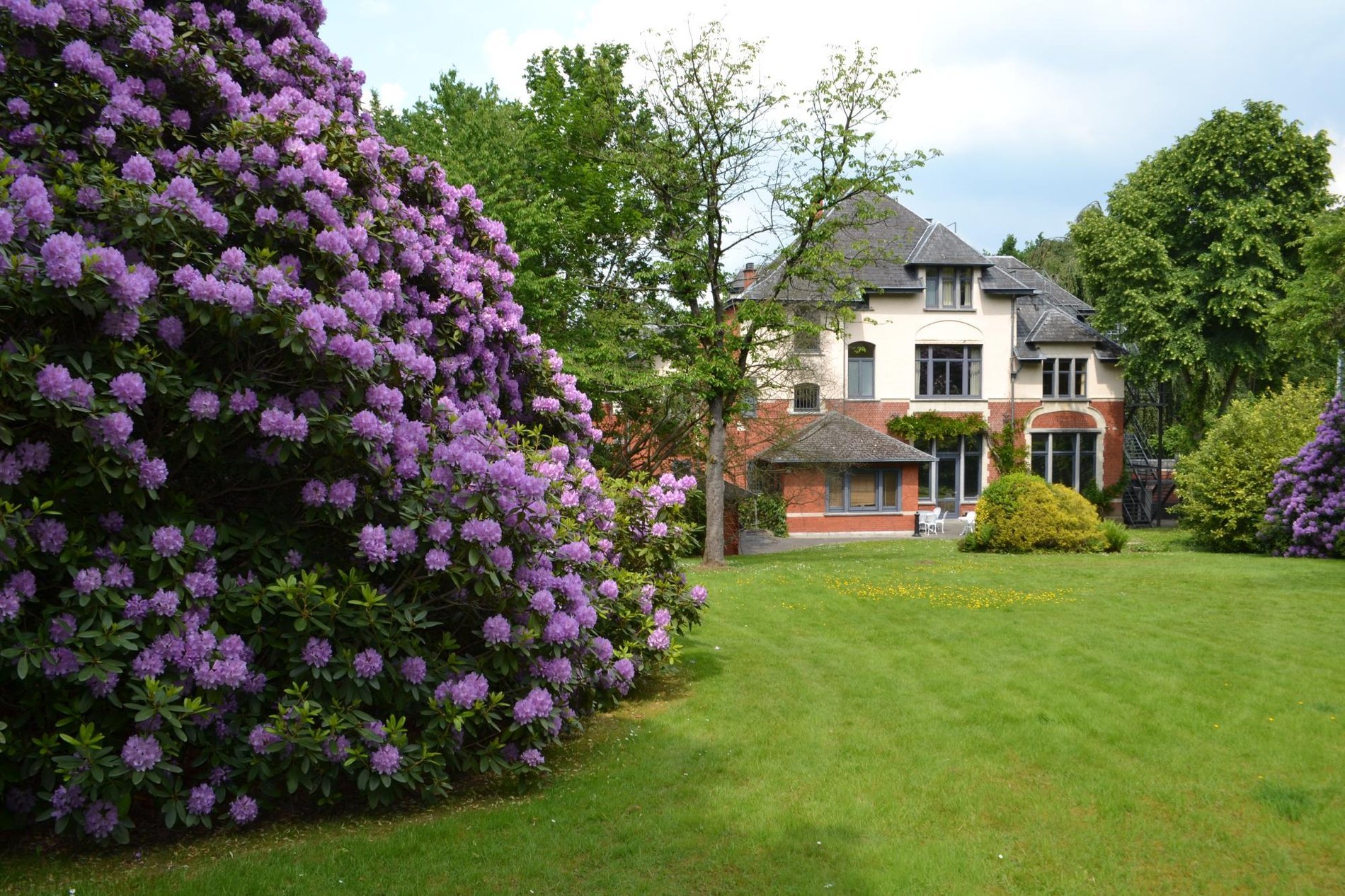 c30b0334-a4ad-468b-aca6-9c4a60220b36