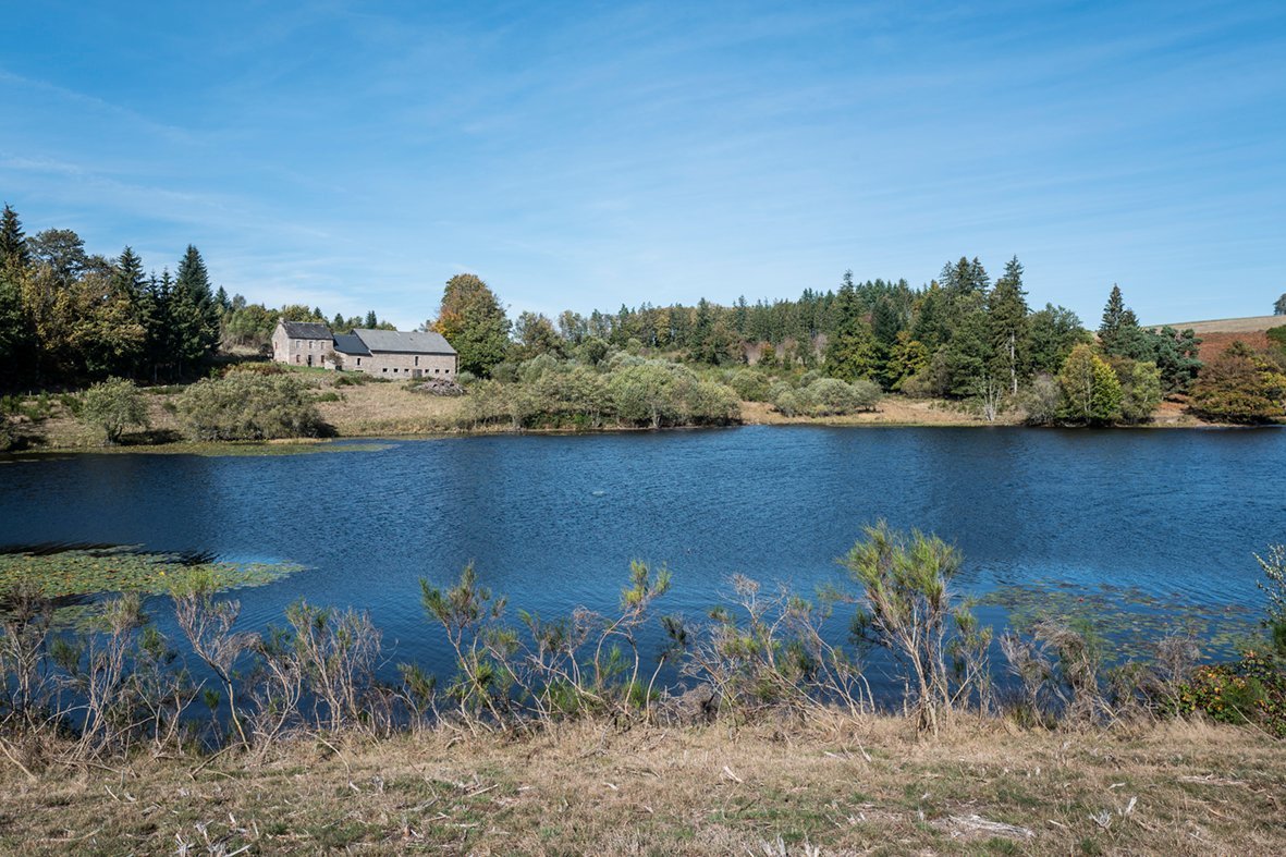 Plan d’eau bordé de verdure à deux pas de Villa Corrèze Aventure, cadre apaisant et naturel