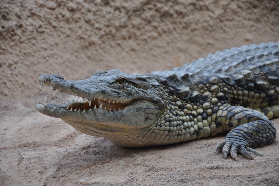 c4a5acc0-e999-43eb-bd47-137c2a97588d