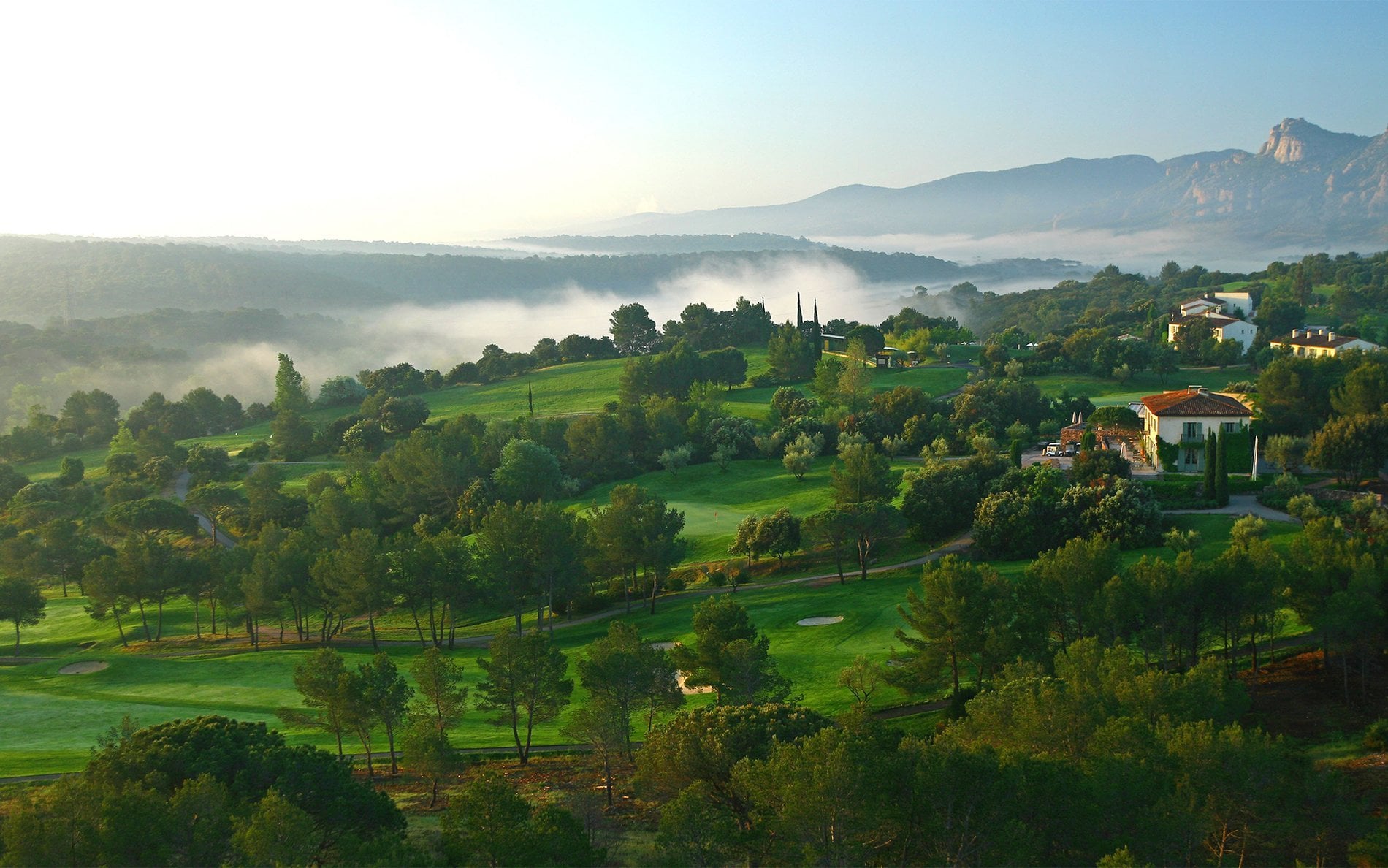 c5113f65-2831-4714-bb32-6c948f99d814