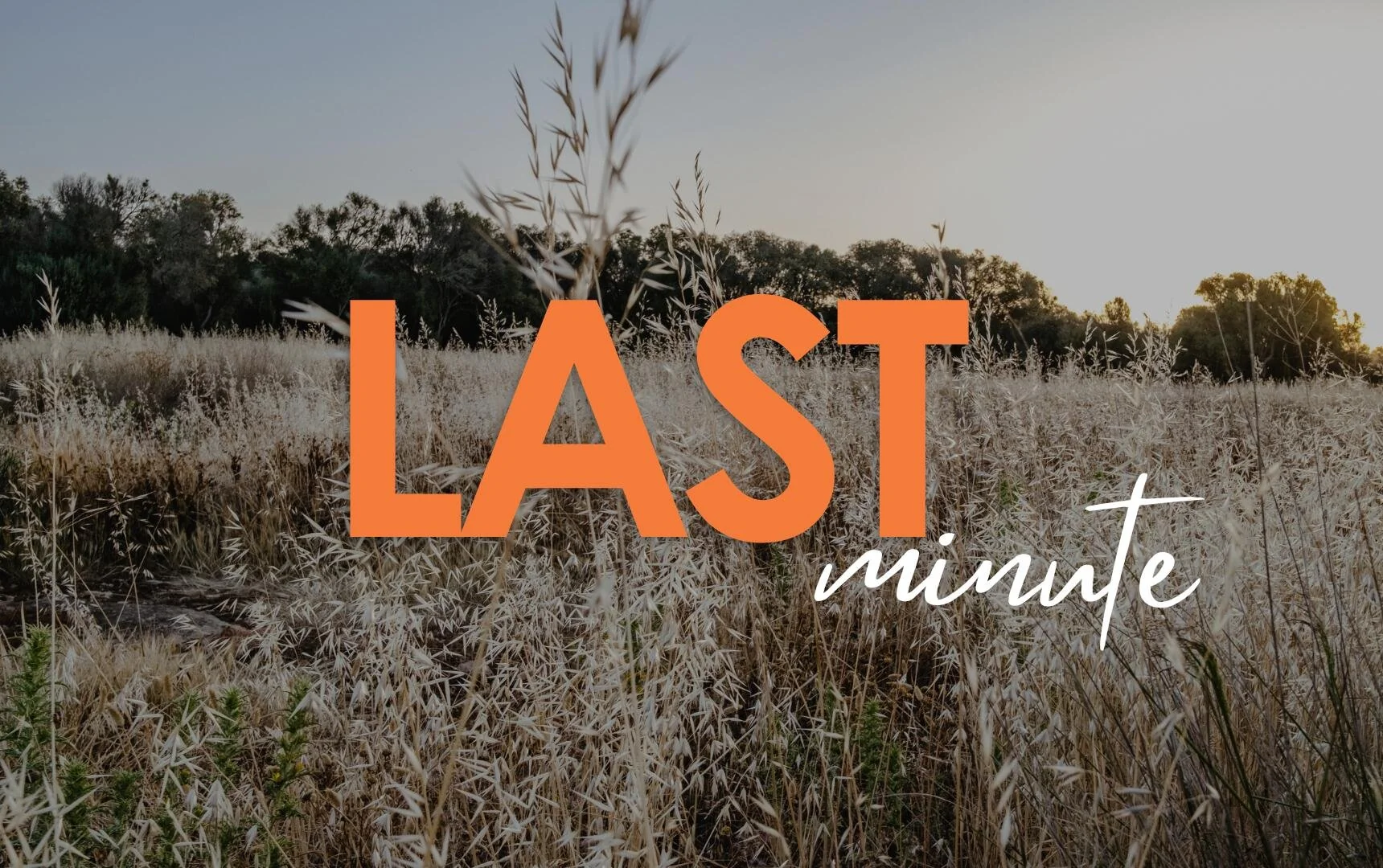 c5b23b6d-15ea-480e-a51d-5e5b8ac13a68