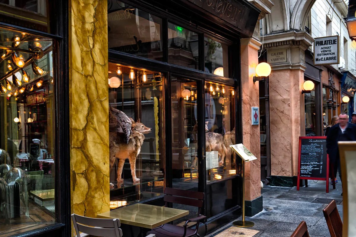 c5c0764d-b1f8-4f14-a67e-49bcd92512a2